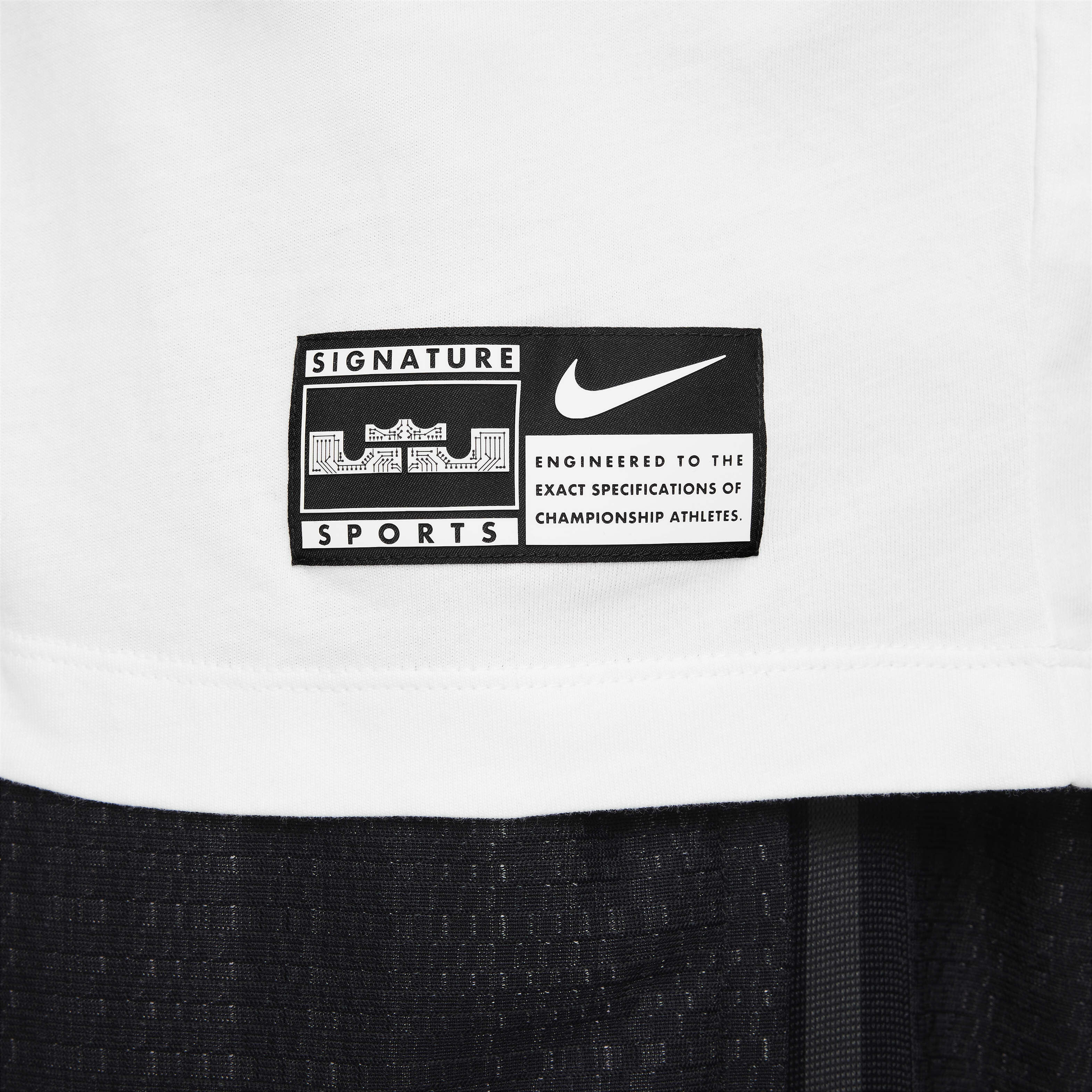 LeBron image number 10