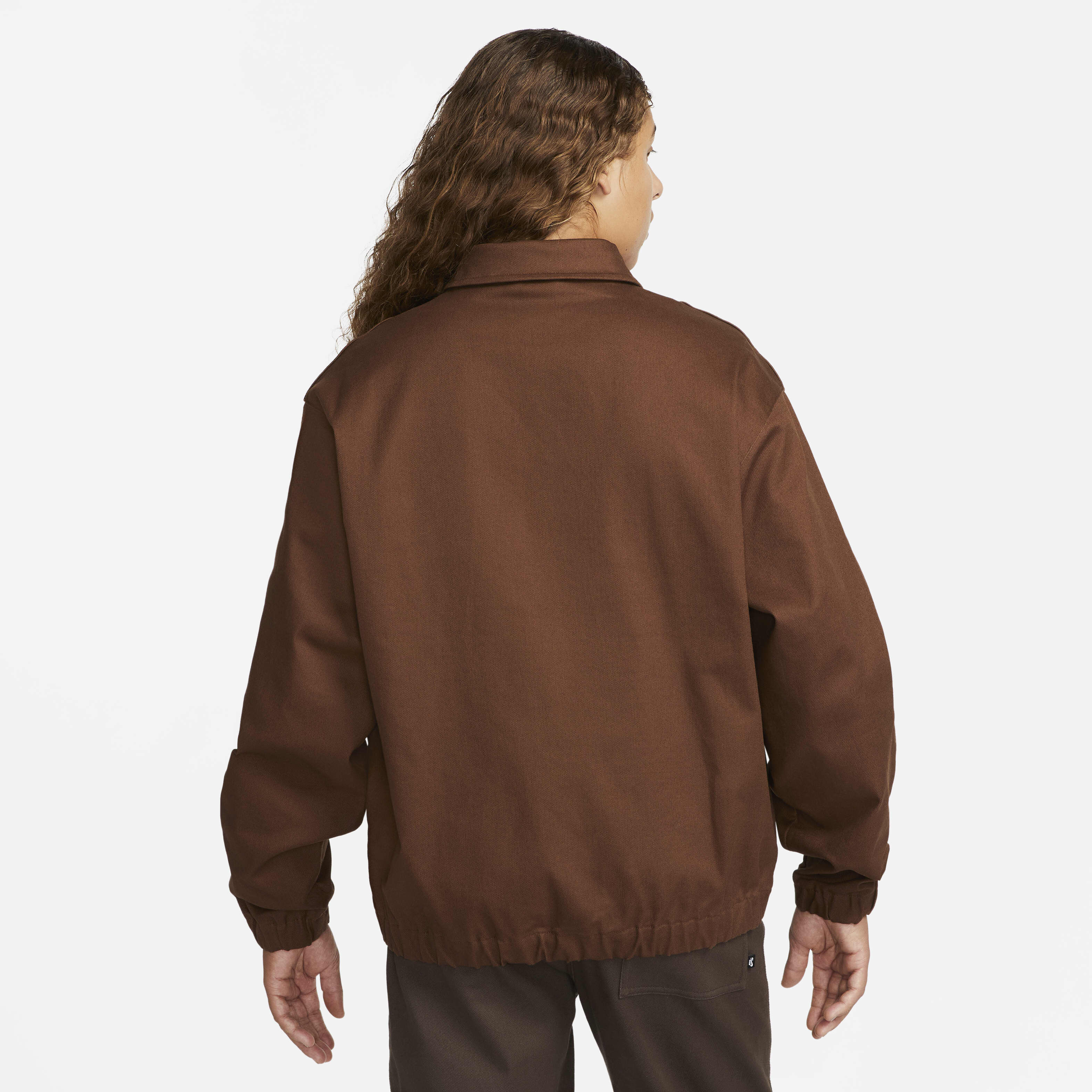 Nike SB image number 1