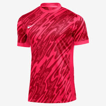 Nike Gardien V GK