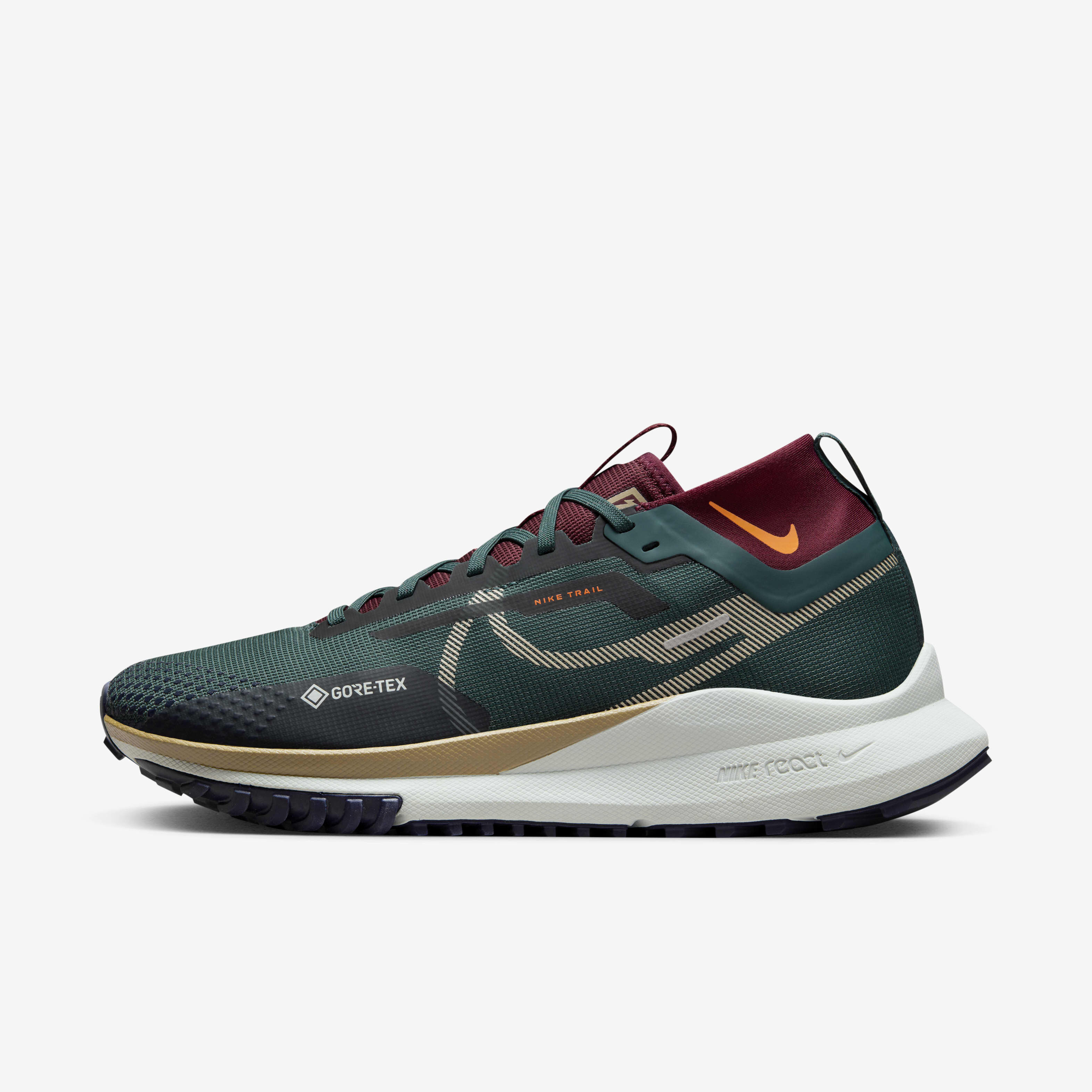 Nike Pegasus Trail 4 GORE-TEX image number 0