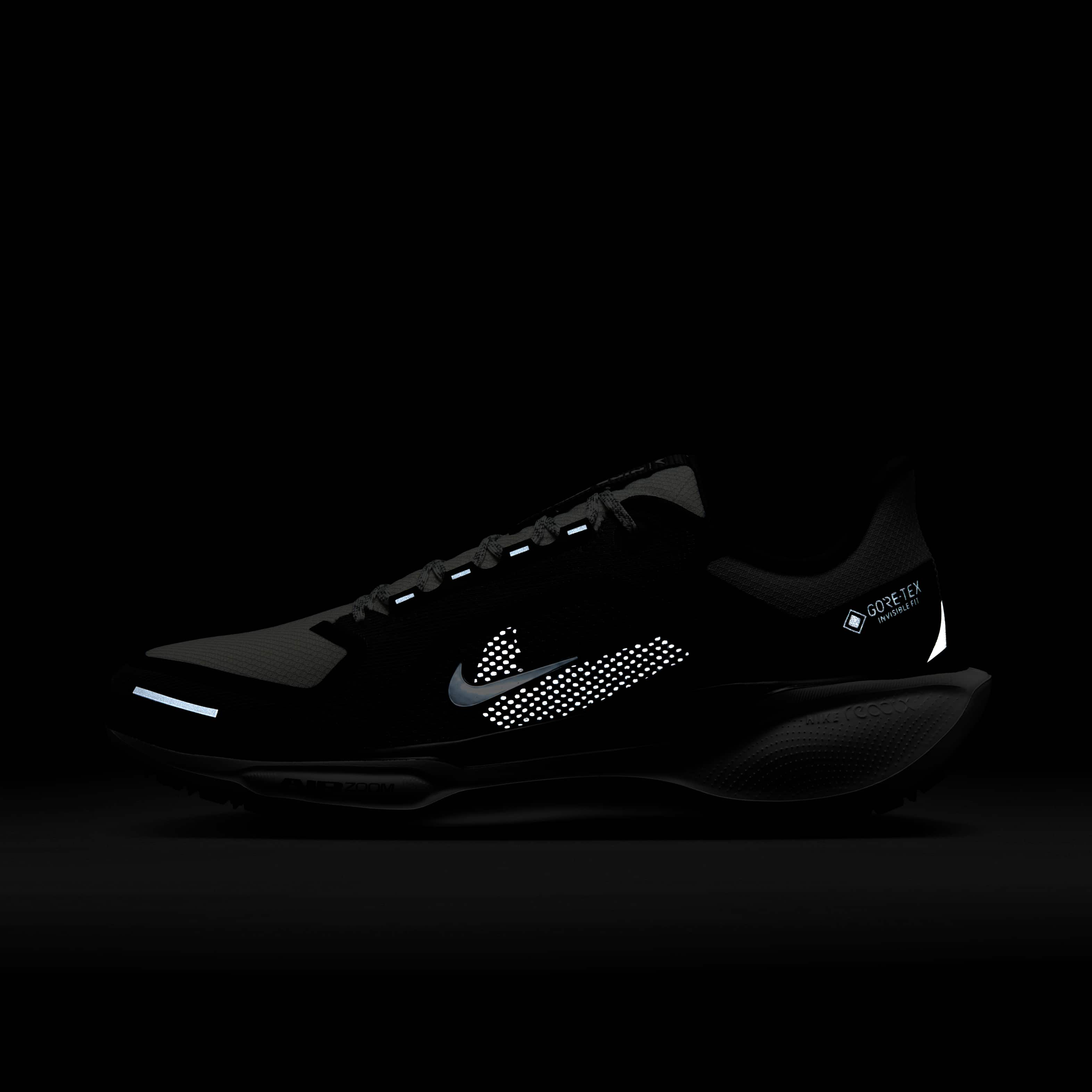 Nike Pegasus 41 GORE-TEX image number 10