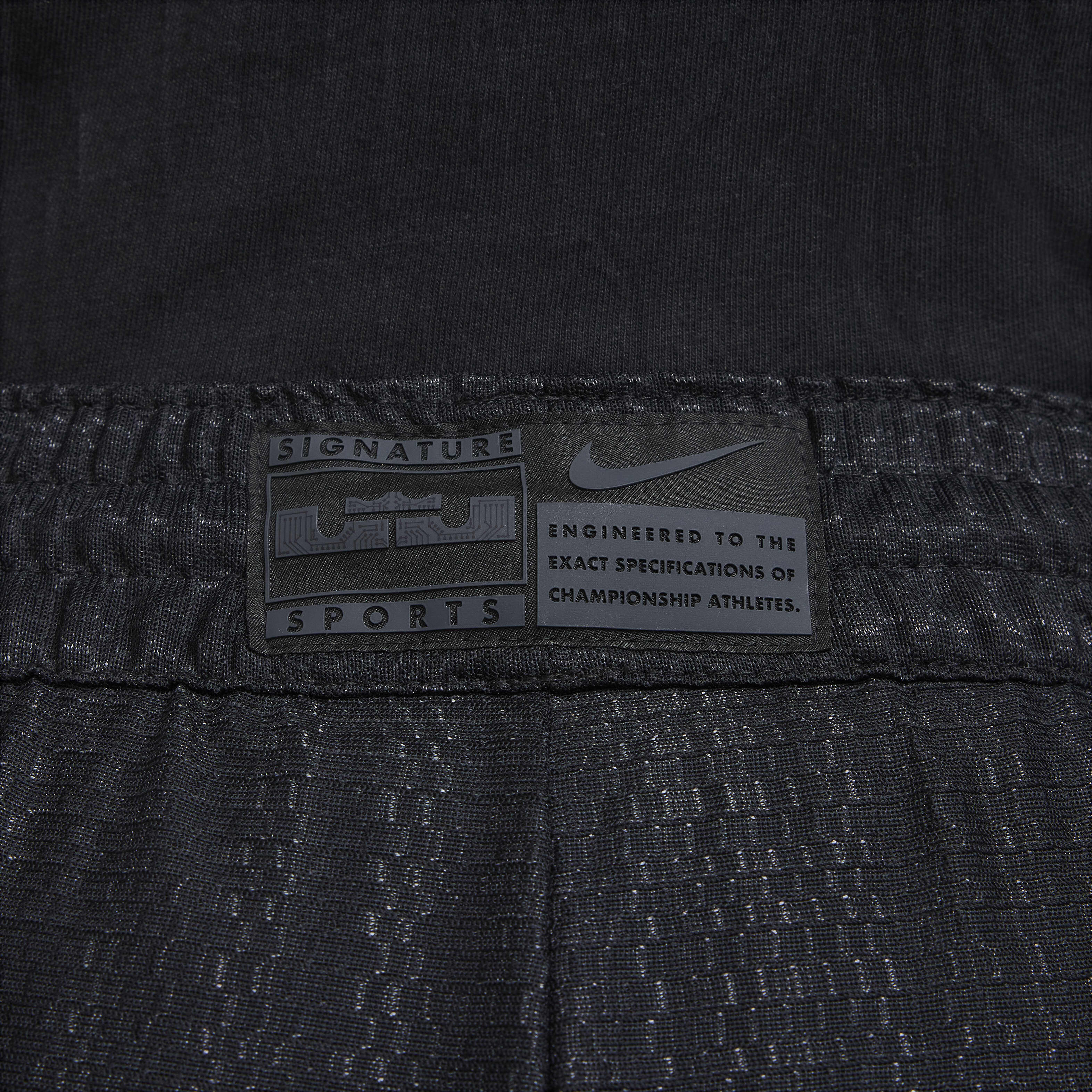 LeBron DNA image number 8