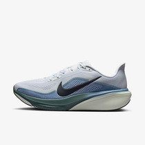 Nike Pegasus 42