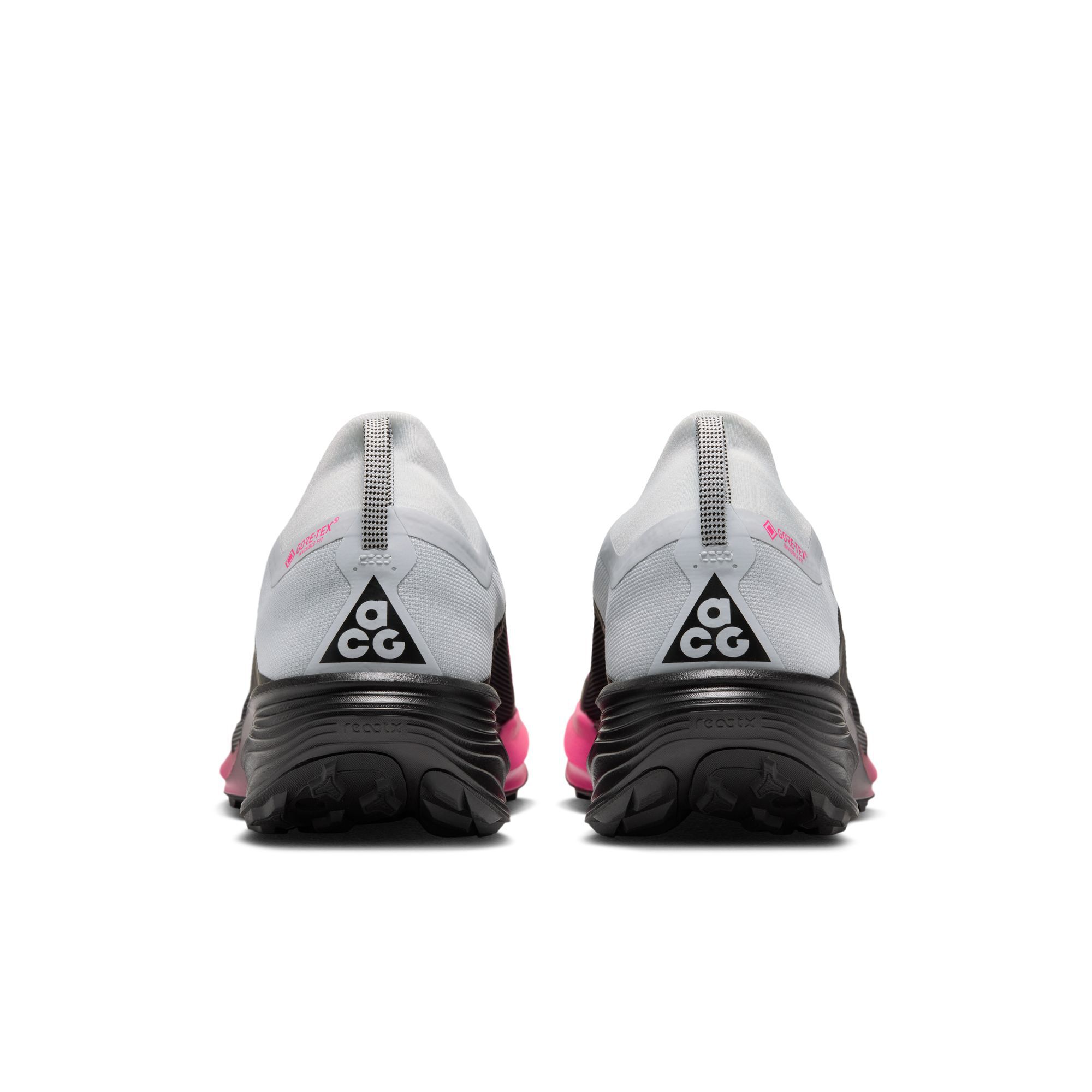 ACG بيجاسوس تريل GORE-TEX image number 1