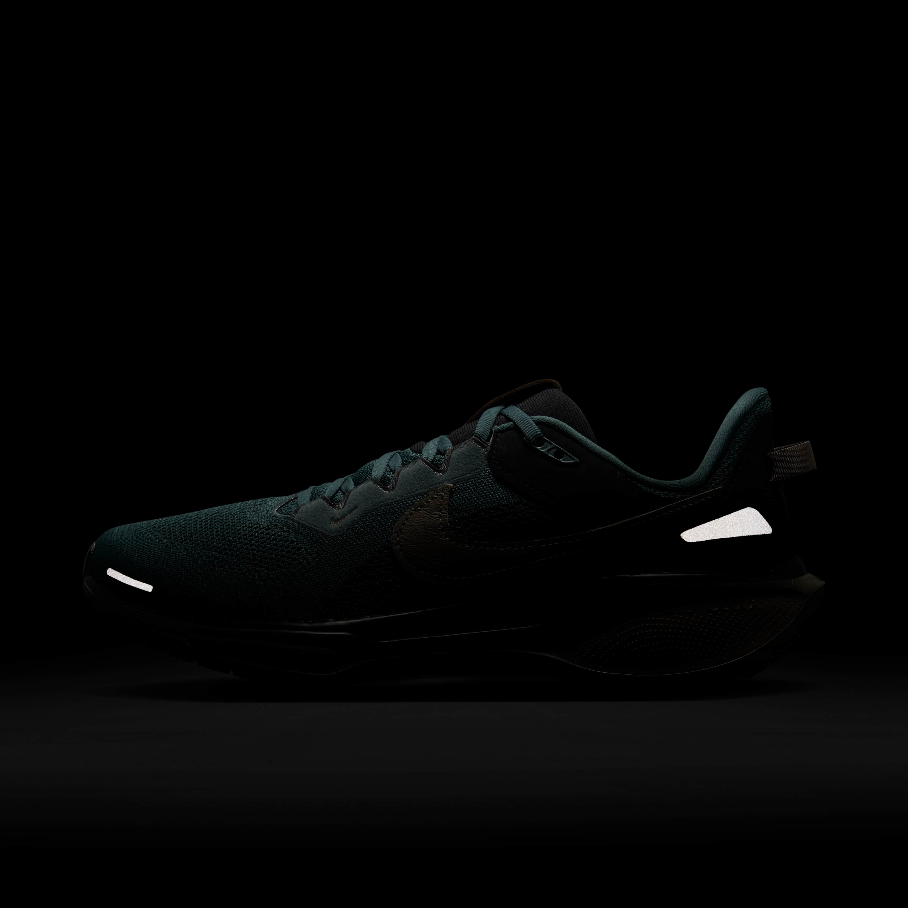 Nike Air Zoom Pegasus 41 SP image number 9