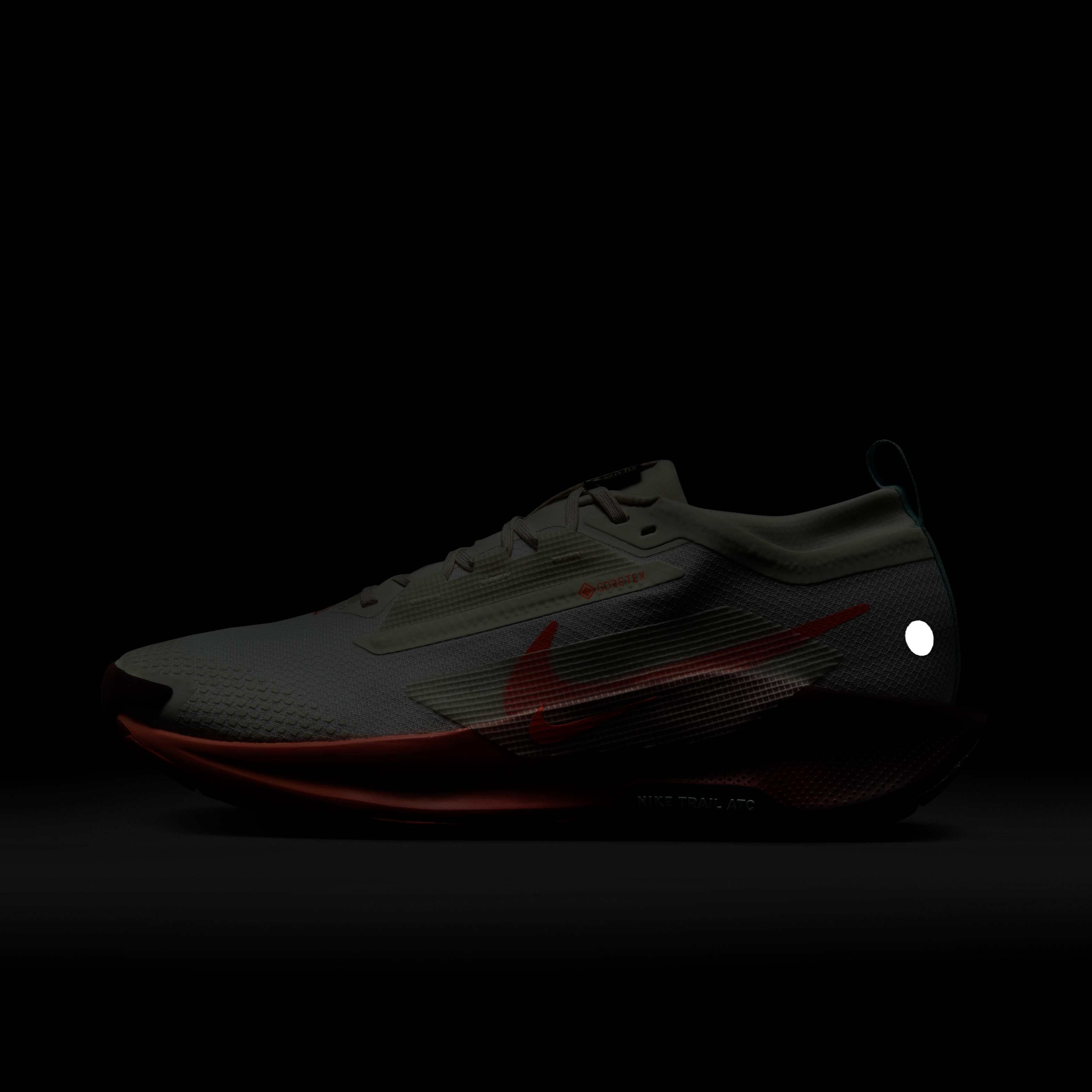 Nike Pegasus Trail 5 GORE-TEX image number 9