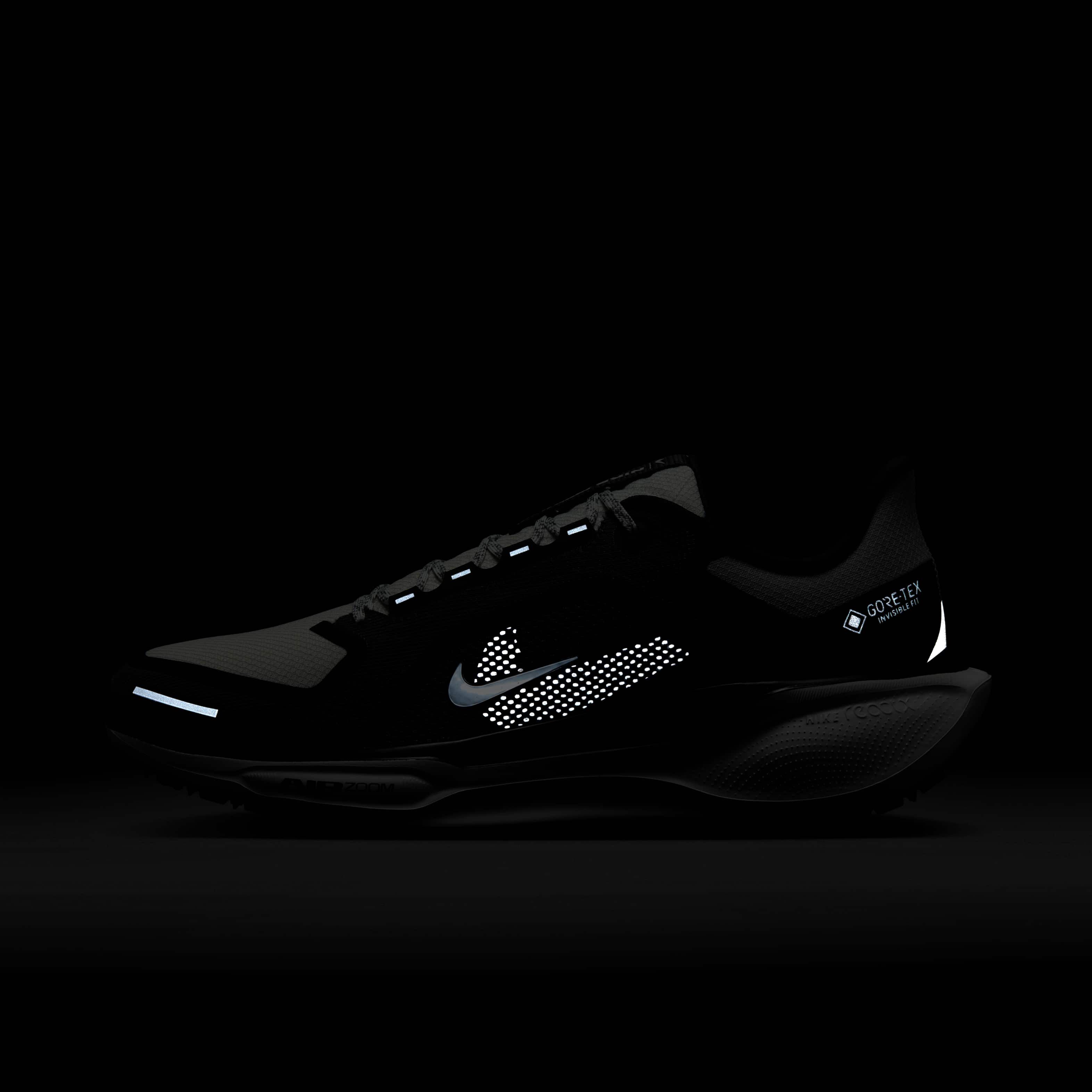 Nike Pegasus 41 GORE-TEX image number 10