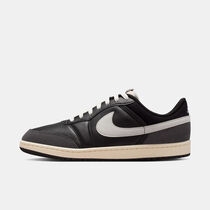 Air Jordan Skyline Low LE