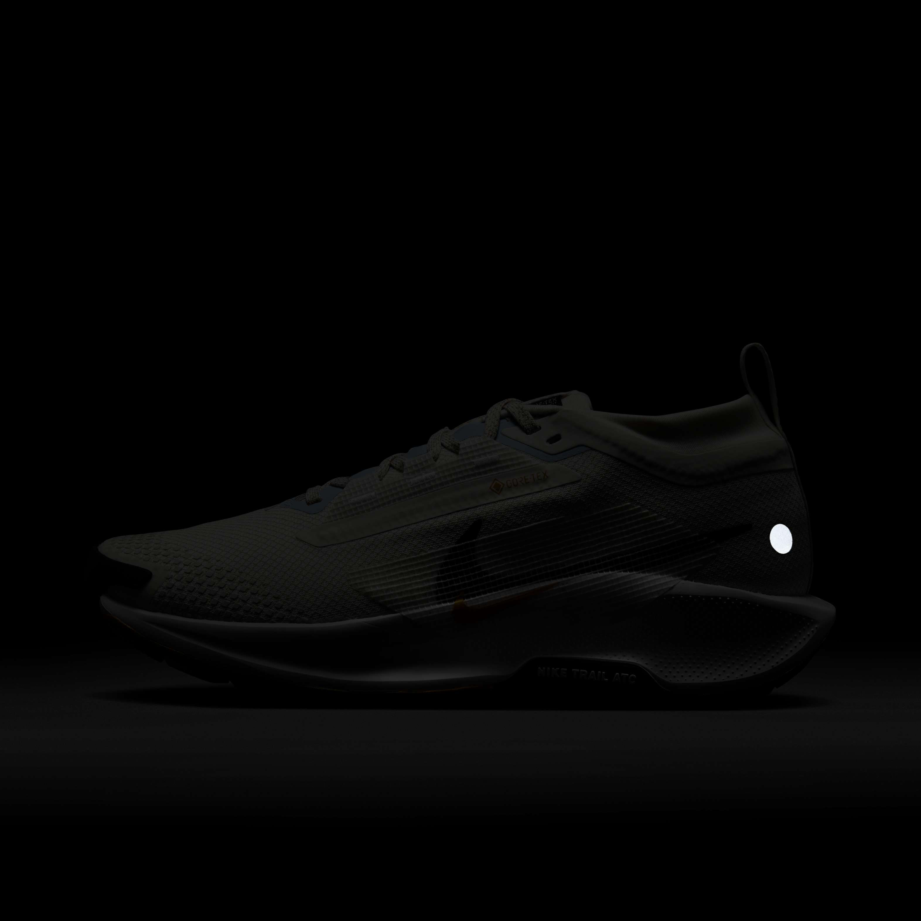 نايكي بيجاسوس تريل 5 جور-تكس image number 10