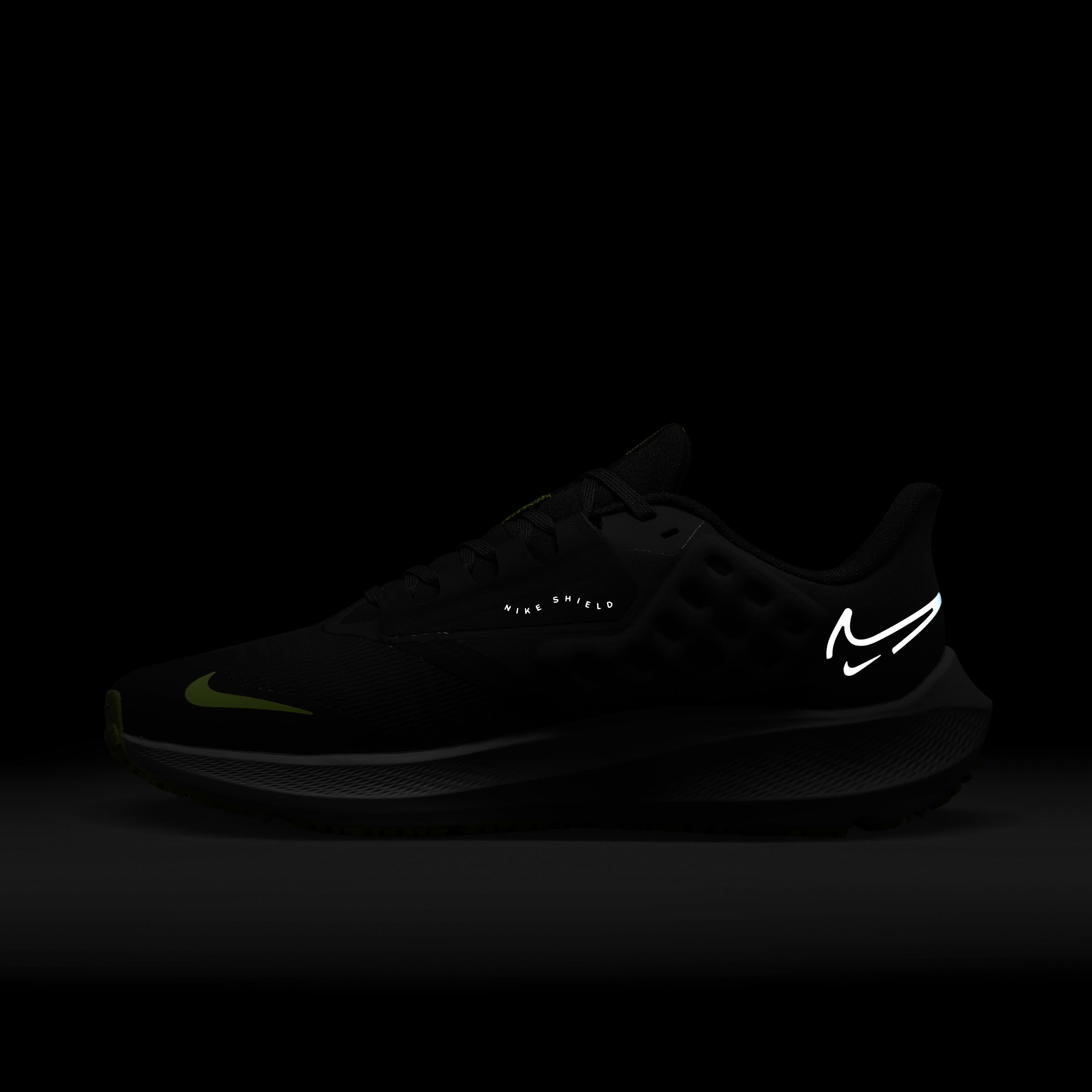 اير زووم بيجاسوس 39 شيلد image number 10