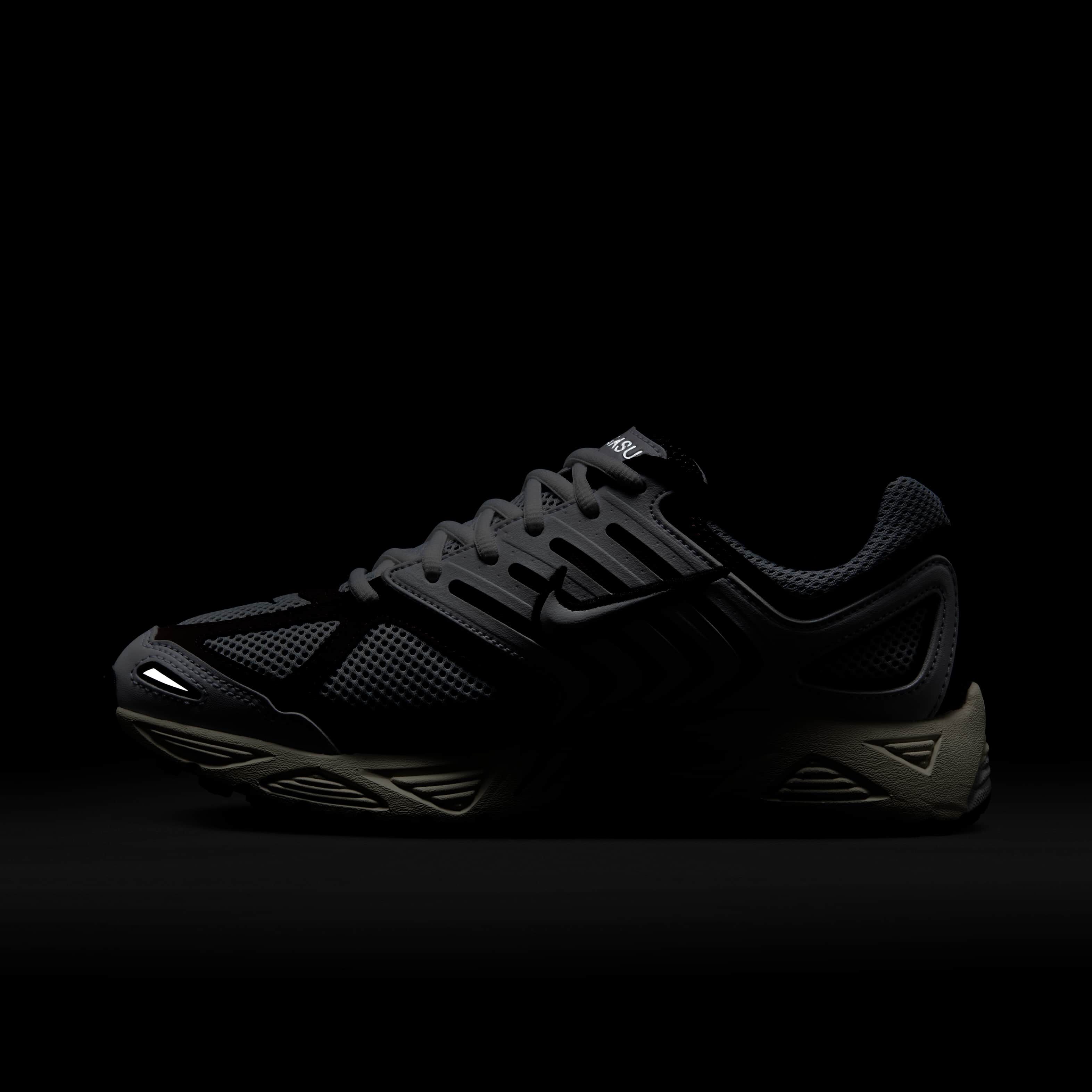 نايكي اير بيجاسوس 2005 image number 11