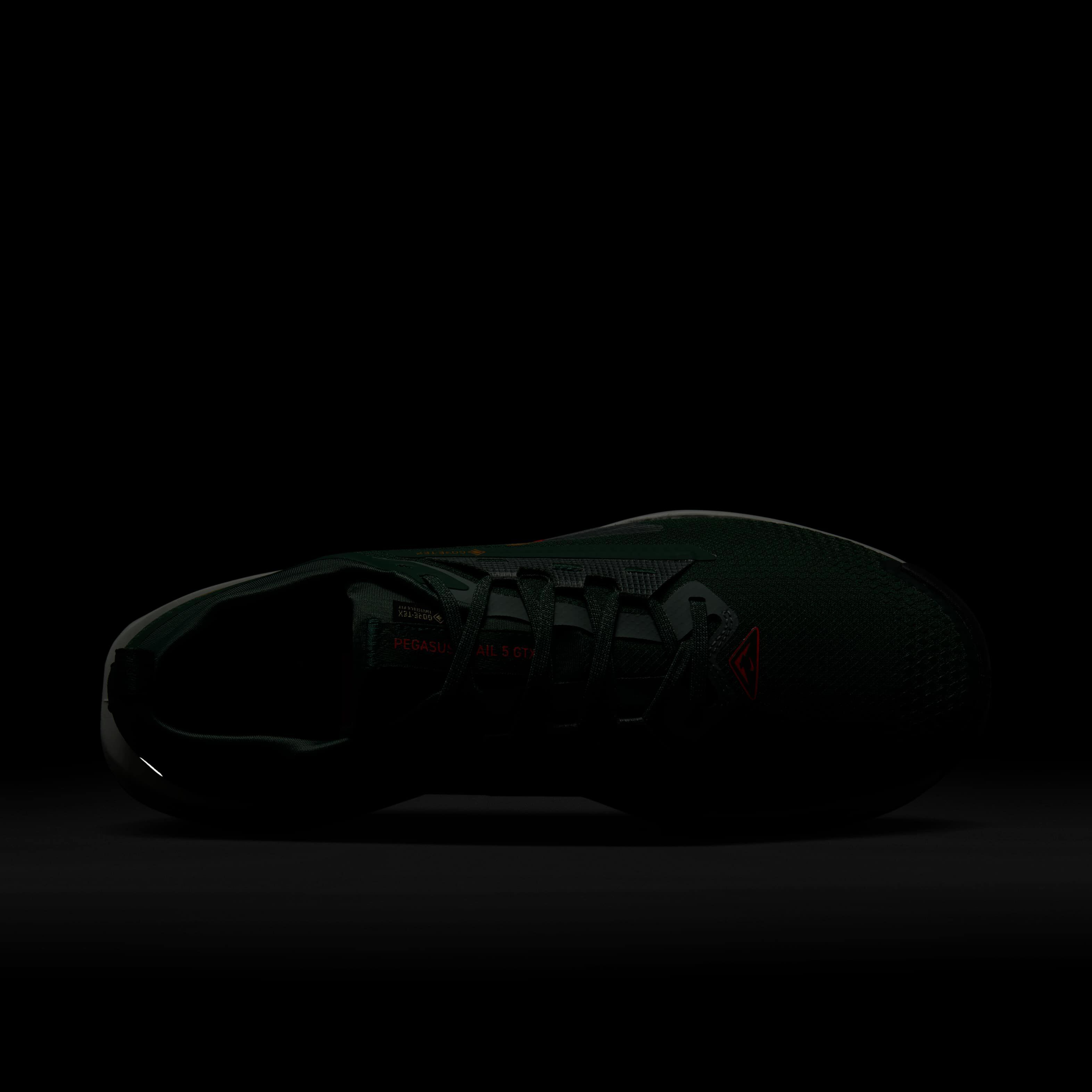 Nike Pegasus Trail 5 GORE-TEX image number 8