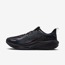 Nike Pegasus 42 GORE-TEX