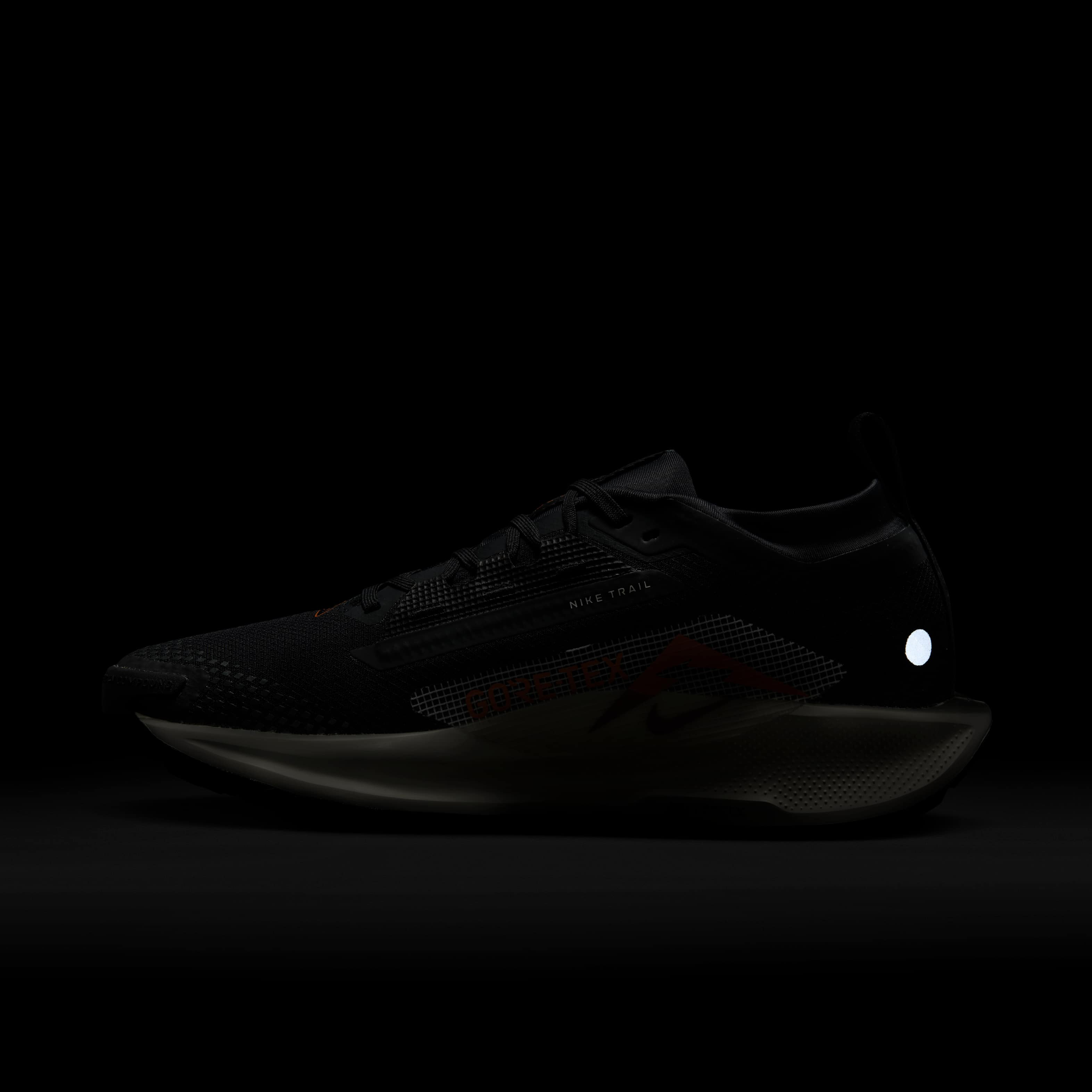 نايكي بيجاسوس تريل 5 جور-تكس image number 9