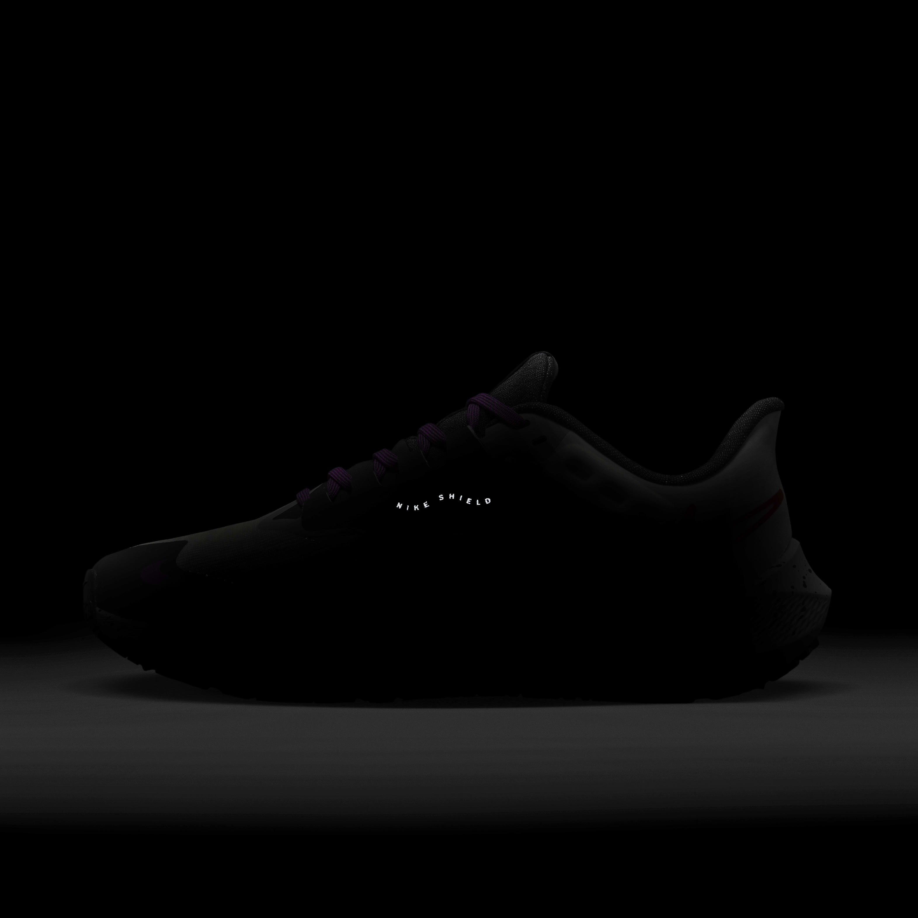 اير زووم بيجاسوس 39 شيلد image number 9