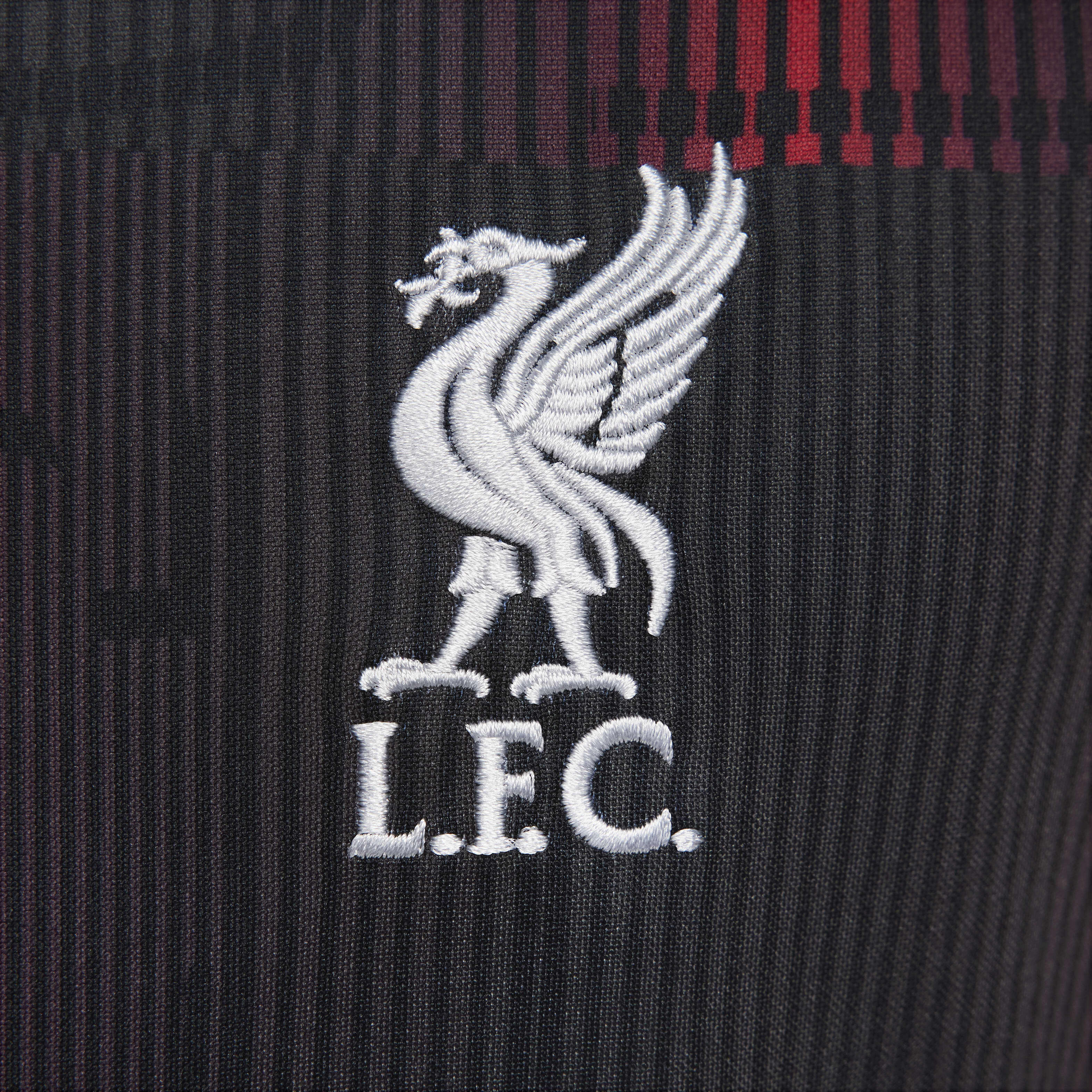Liverpool F.C. Academy Pro image number 3