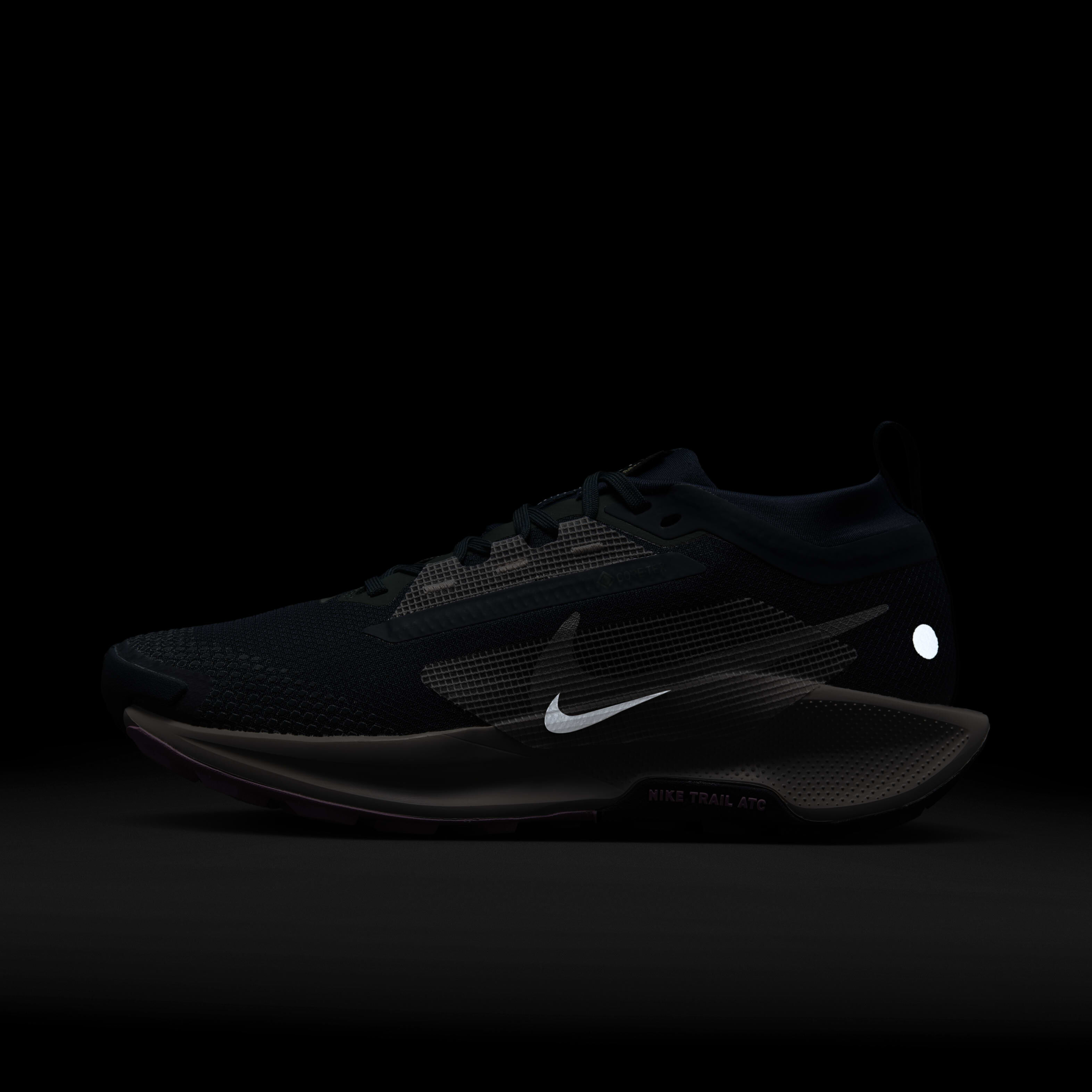 Nike Pegasus Trail 5 GORE-TEX image number 10