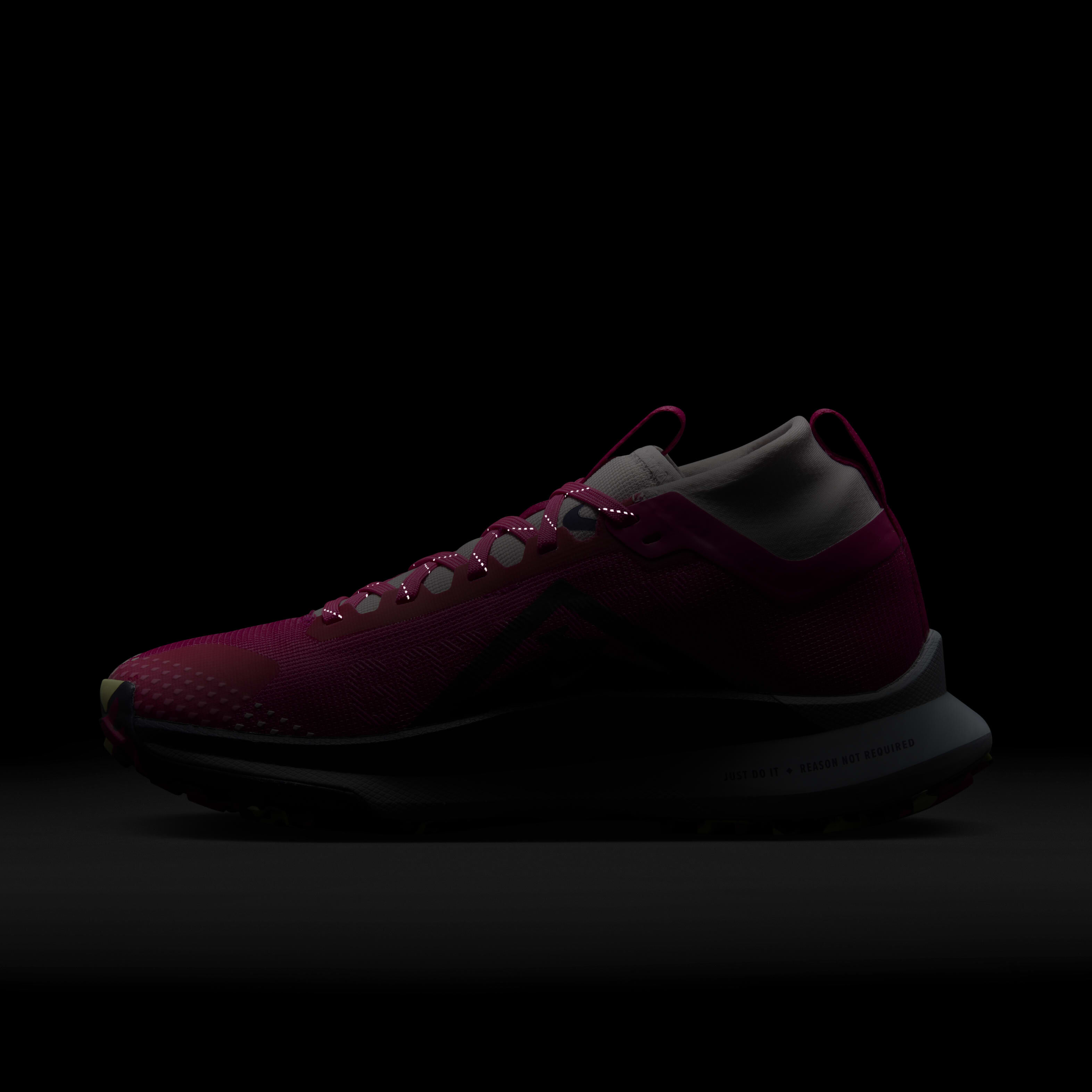 Buy Nike Pegasus Trail 4 GORE-TEX Women's Waterproof Trail