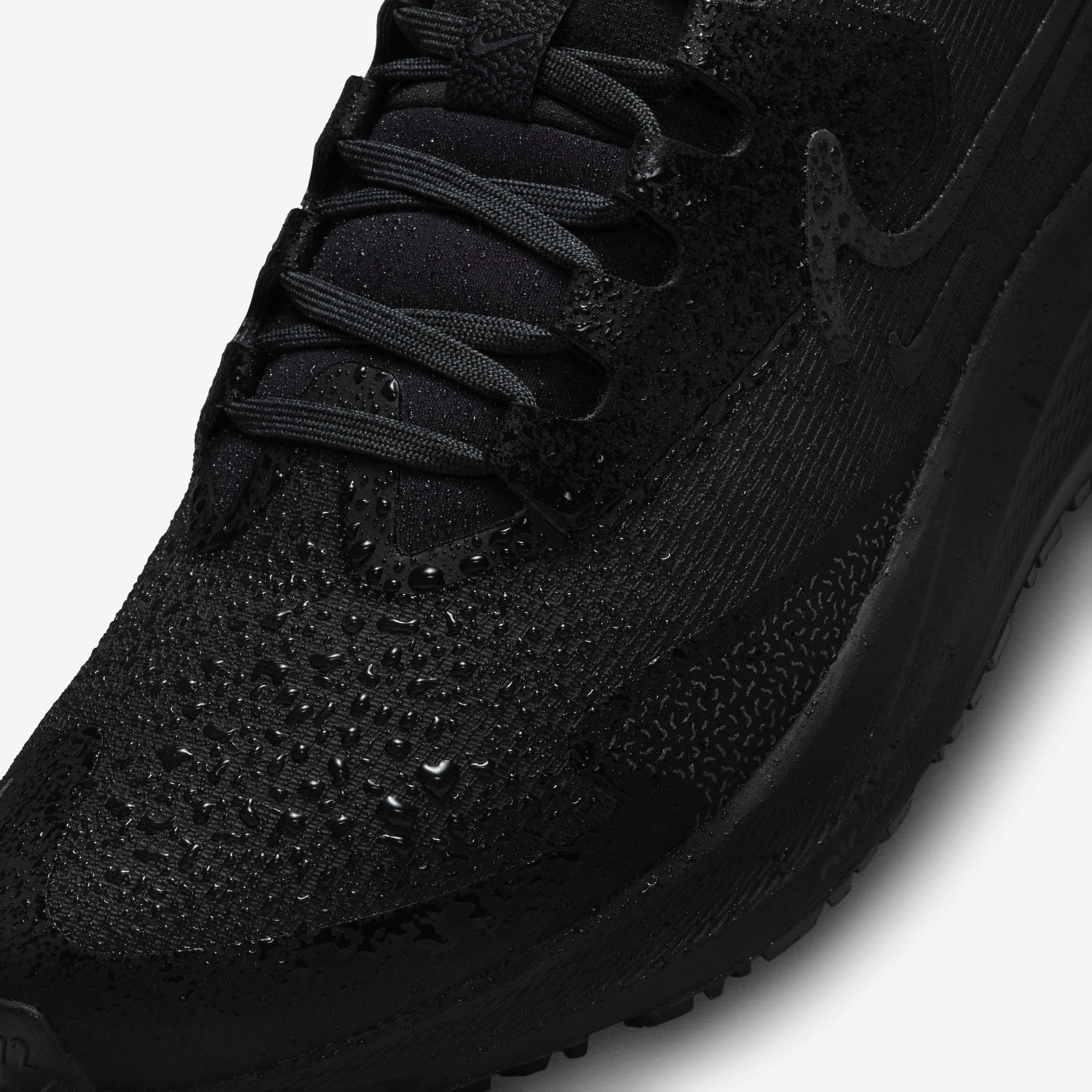 Nike Pegasus 39 Shield image number 12