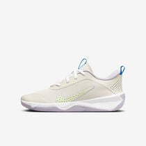 Nike Omni Multi-Court