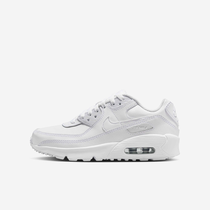 Nike Air Max 90 LTR