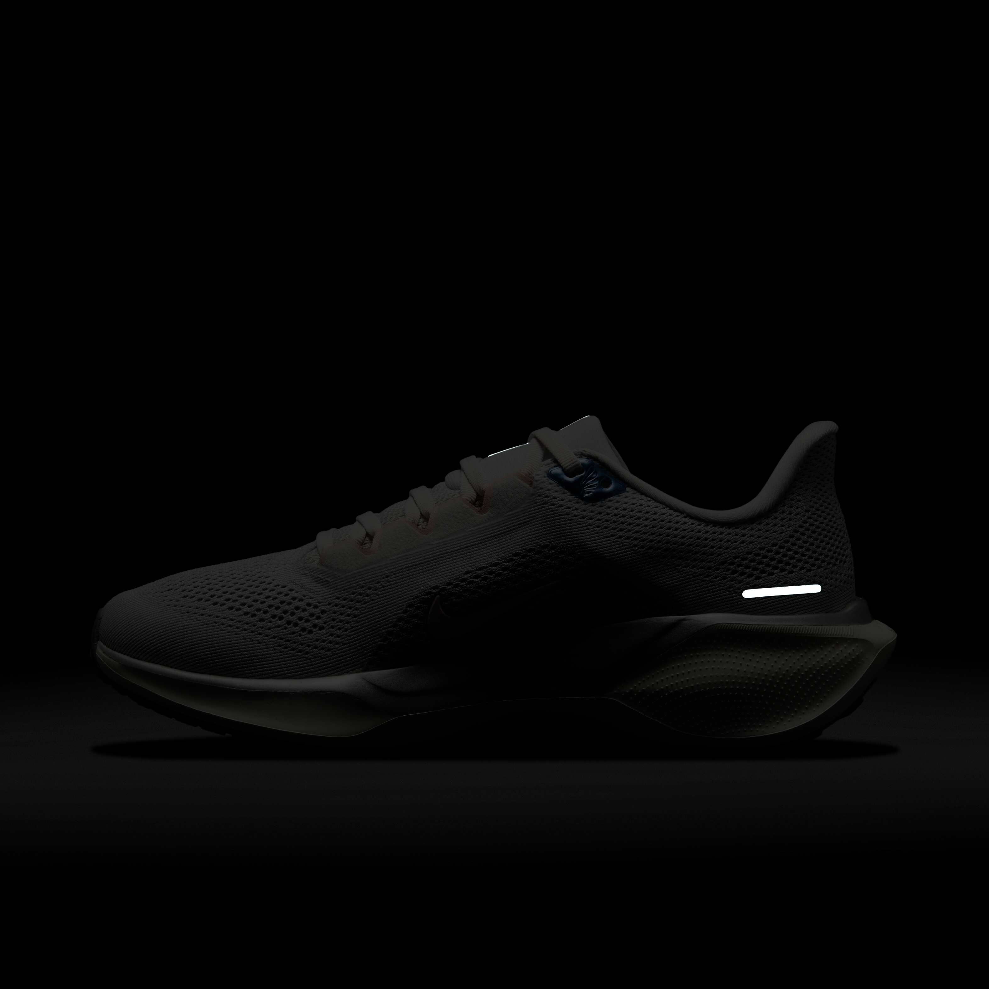 نايكي بيجاسوس 41 image number 10