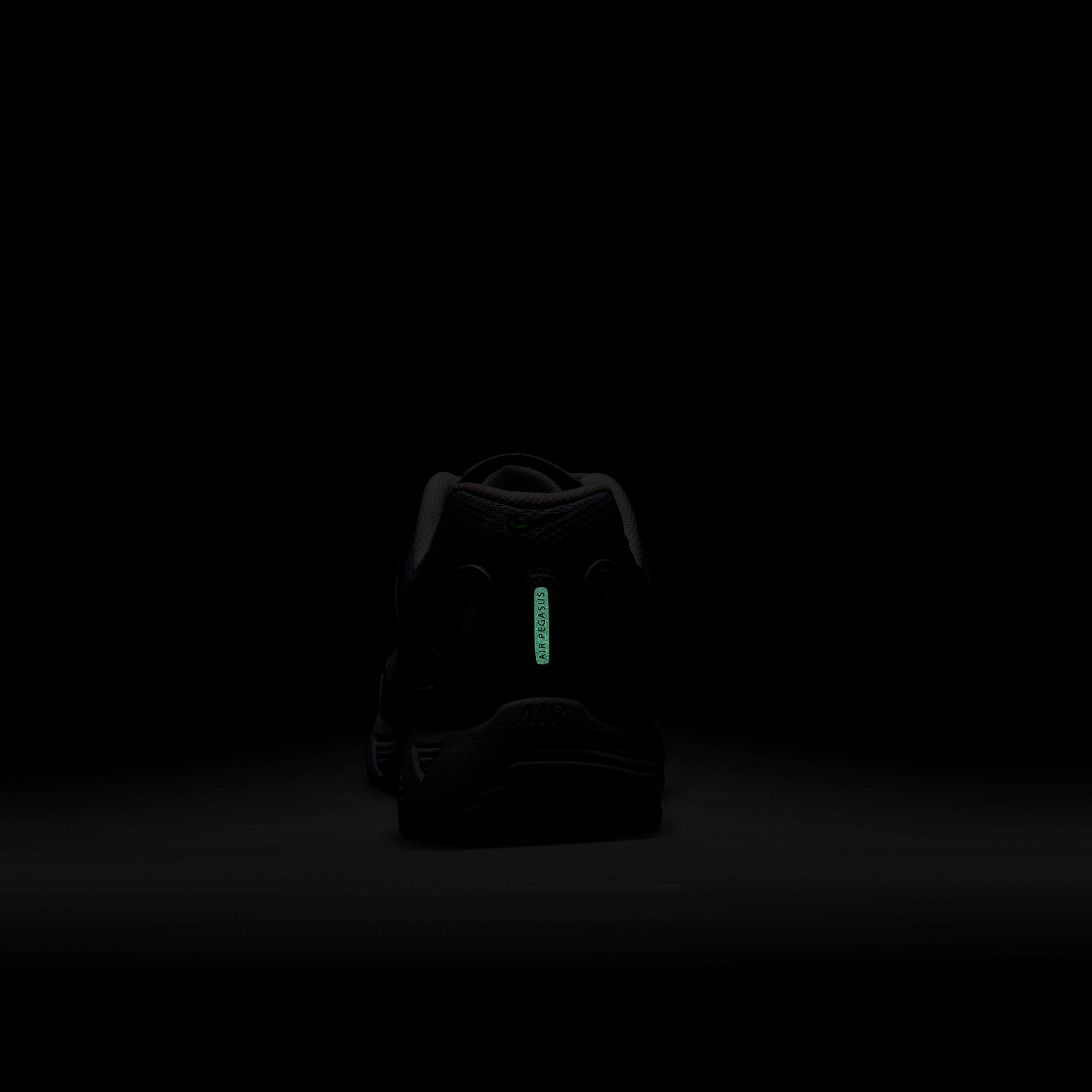 Nike Air Pegasus 2005 image number 9