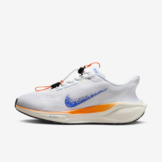 Pegasus EasyOn-Nike, Nike Pegasus EasyOn Blueprint, Women's Road Running Shoes