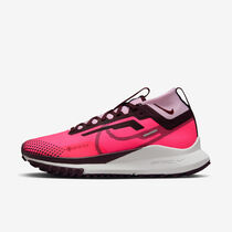 Nike Pegasus Trail 4 GORE-TEX