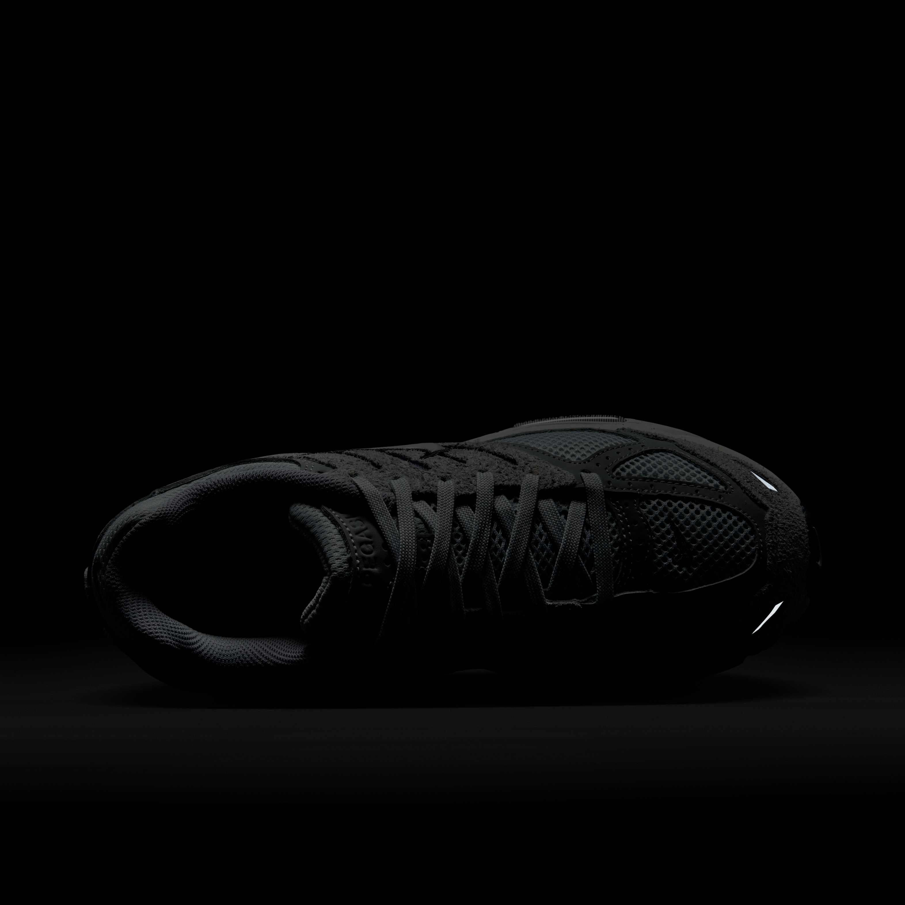 نايكي اير بيجاسوس 2005 image number 8