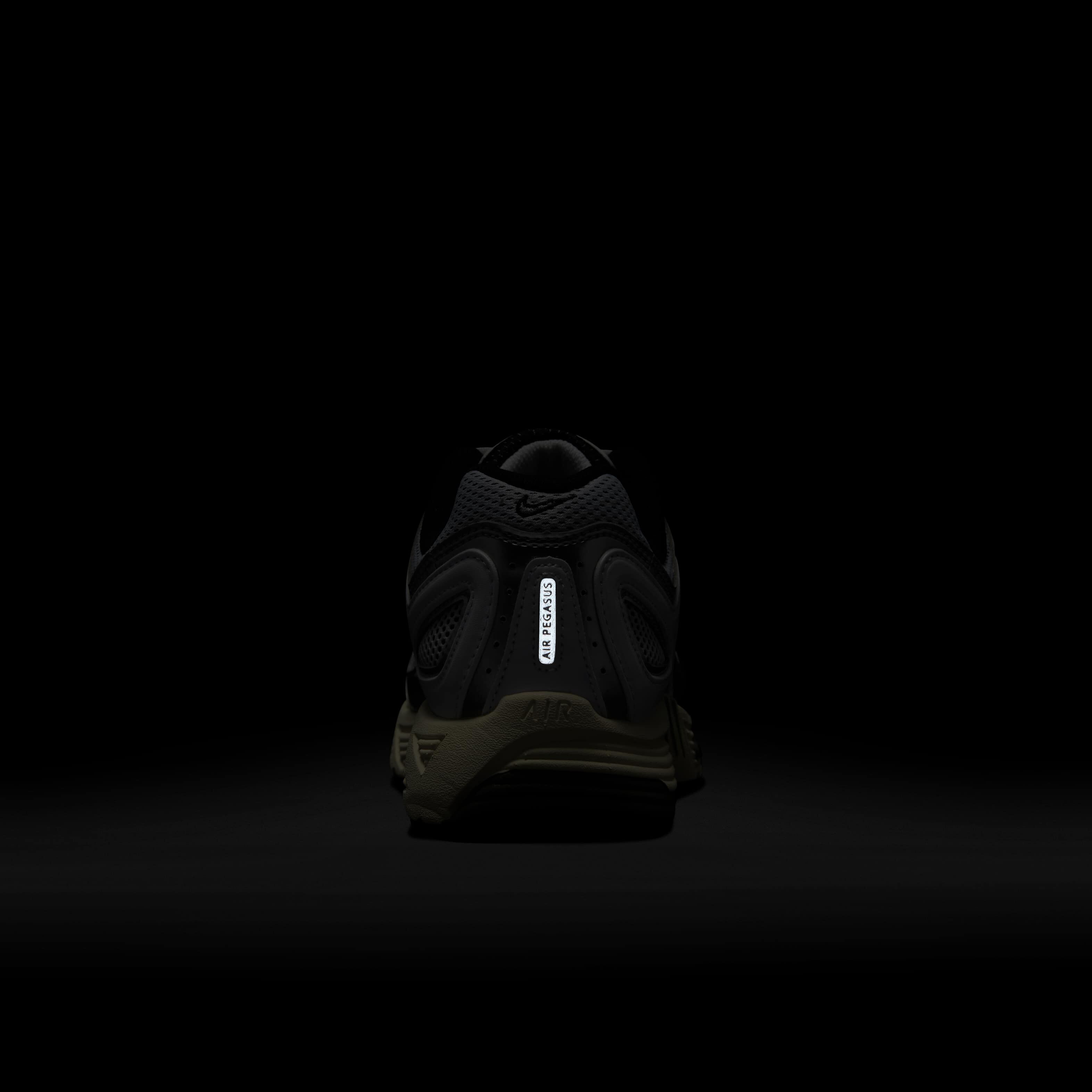 نايكي اير بيجاسوس 2005 image number 9