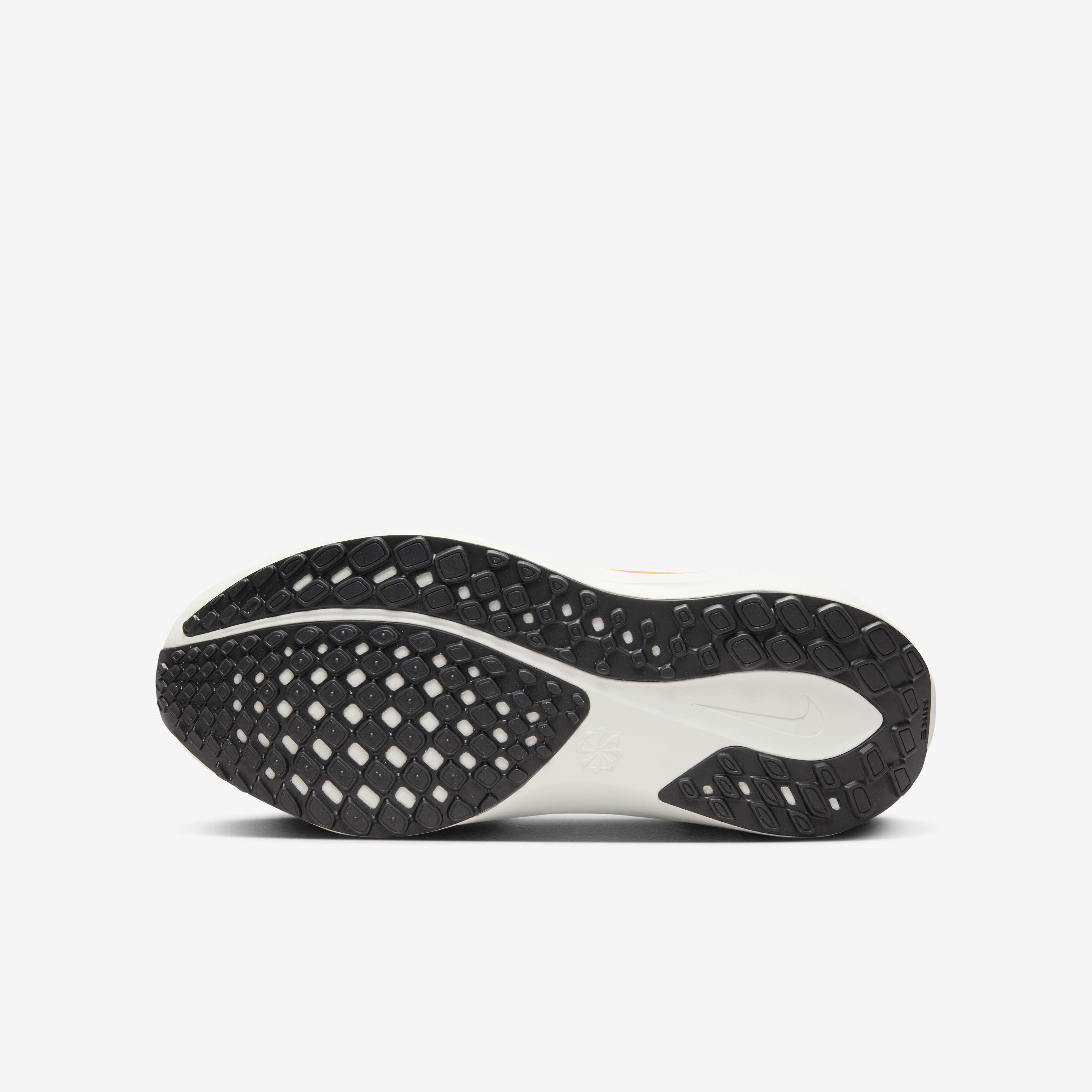 نايكي بيجاسوس 41 بلوبرينت image number 1