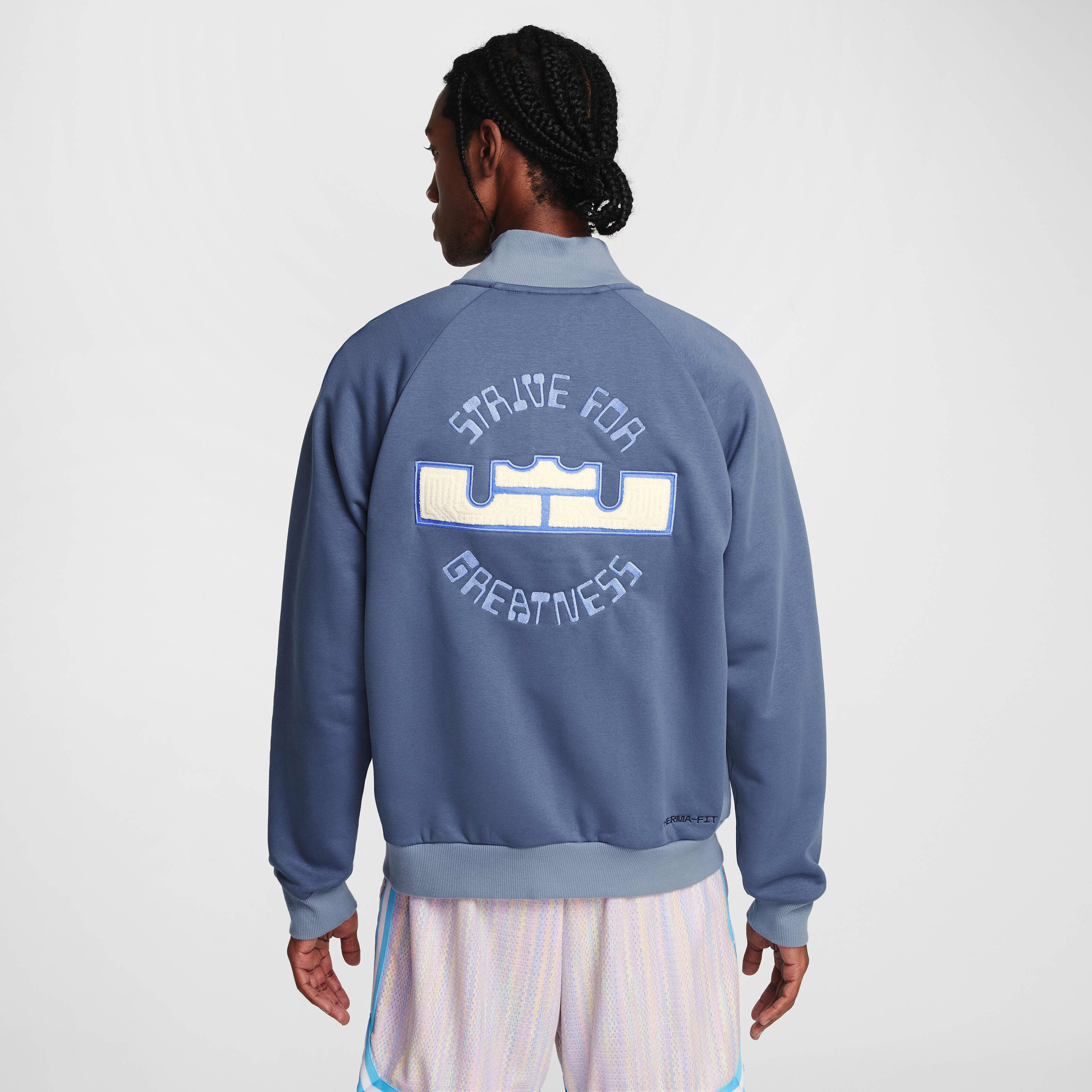 LeBron Standard Issue image number 1