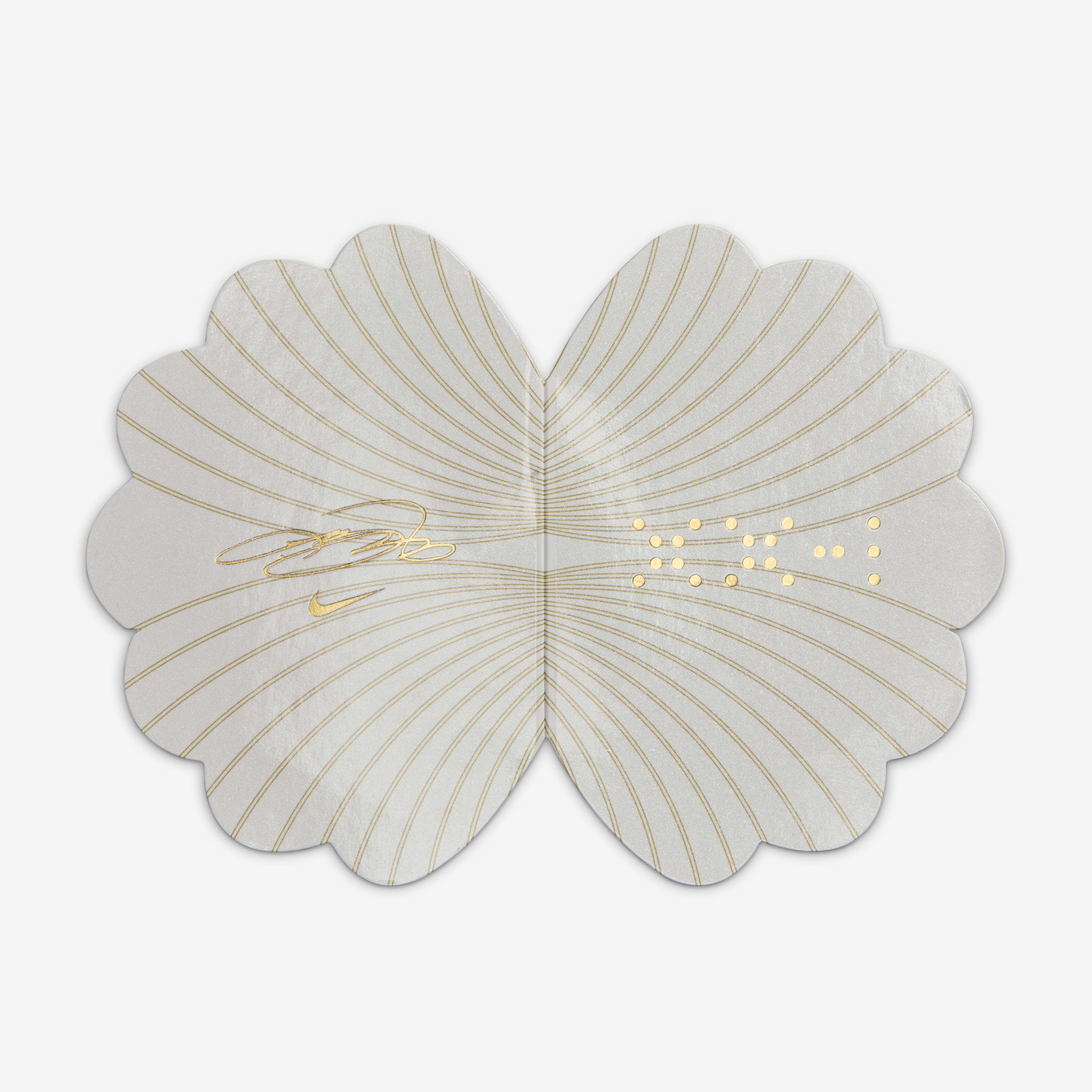 LeBron XXI image number 9