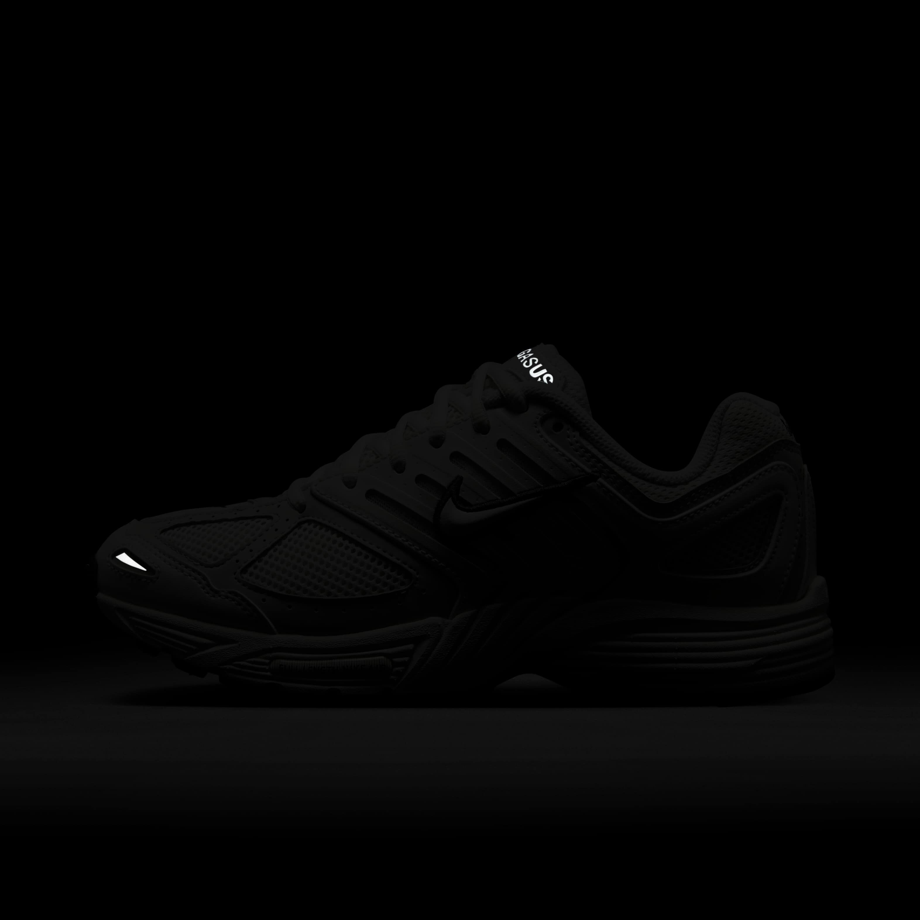 نايكي اير بيجاسوس 2005 image number 10