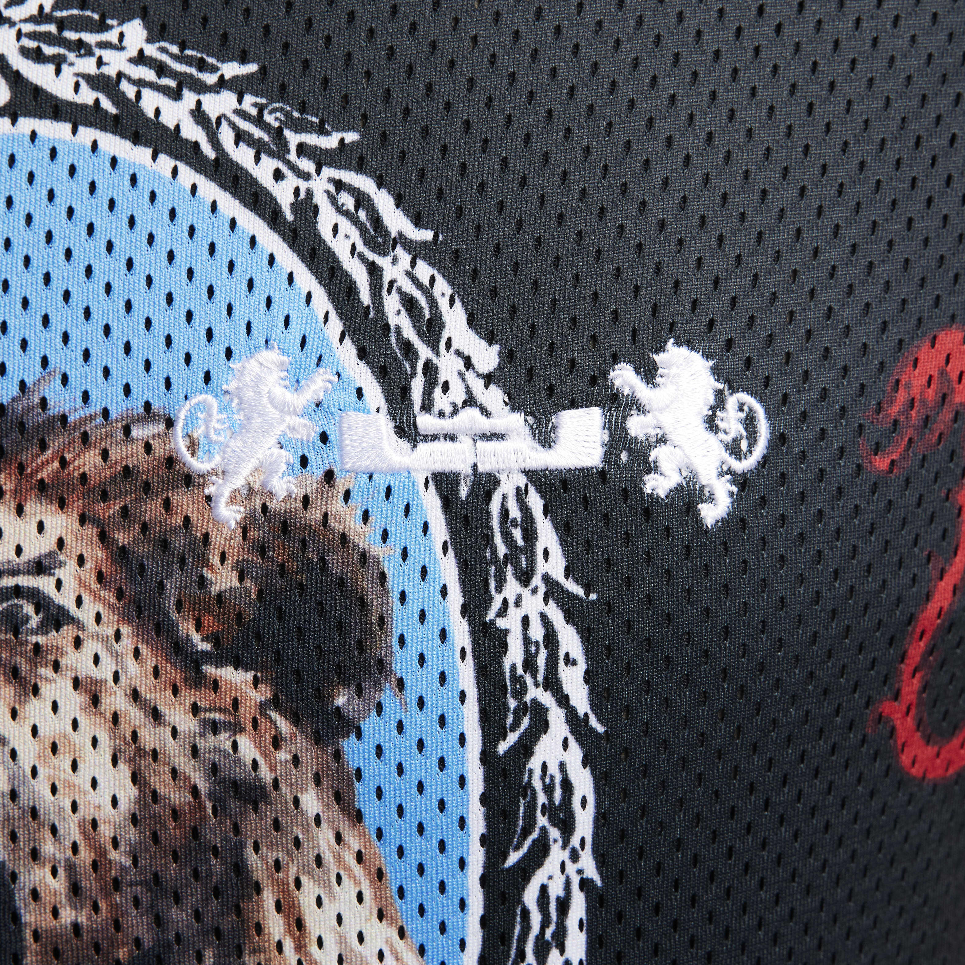 LeBron image number 3