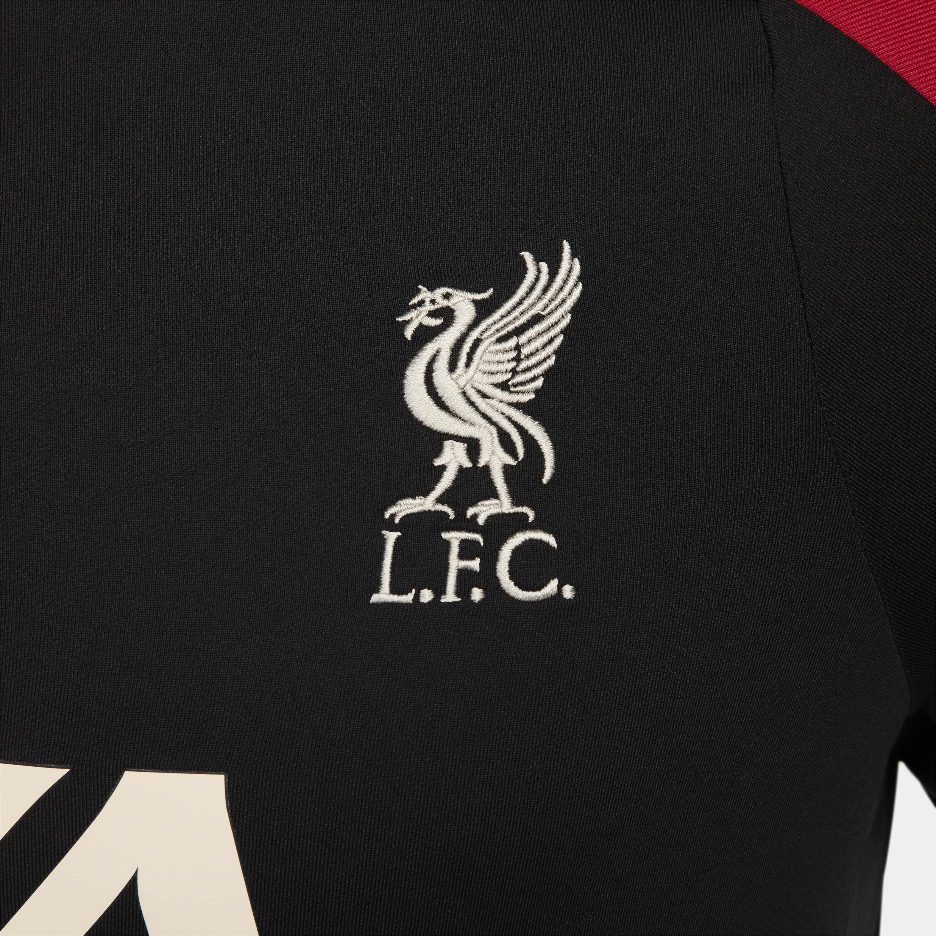 Liverpool F.C. Strike image number 3