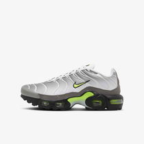 Nike Air Max Plus