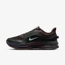 Nike Pegasus Premium