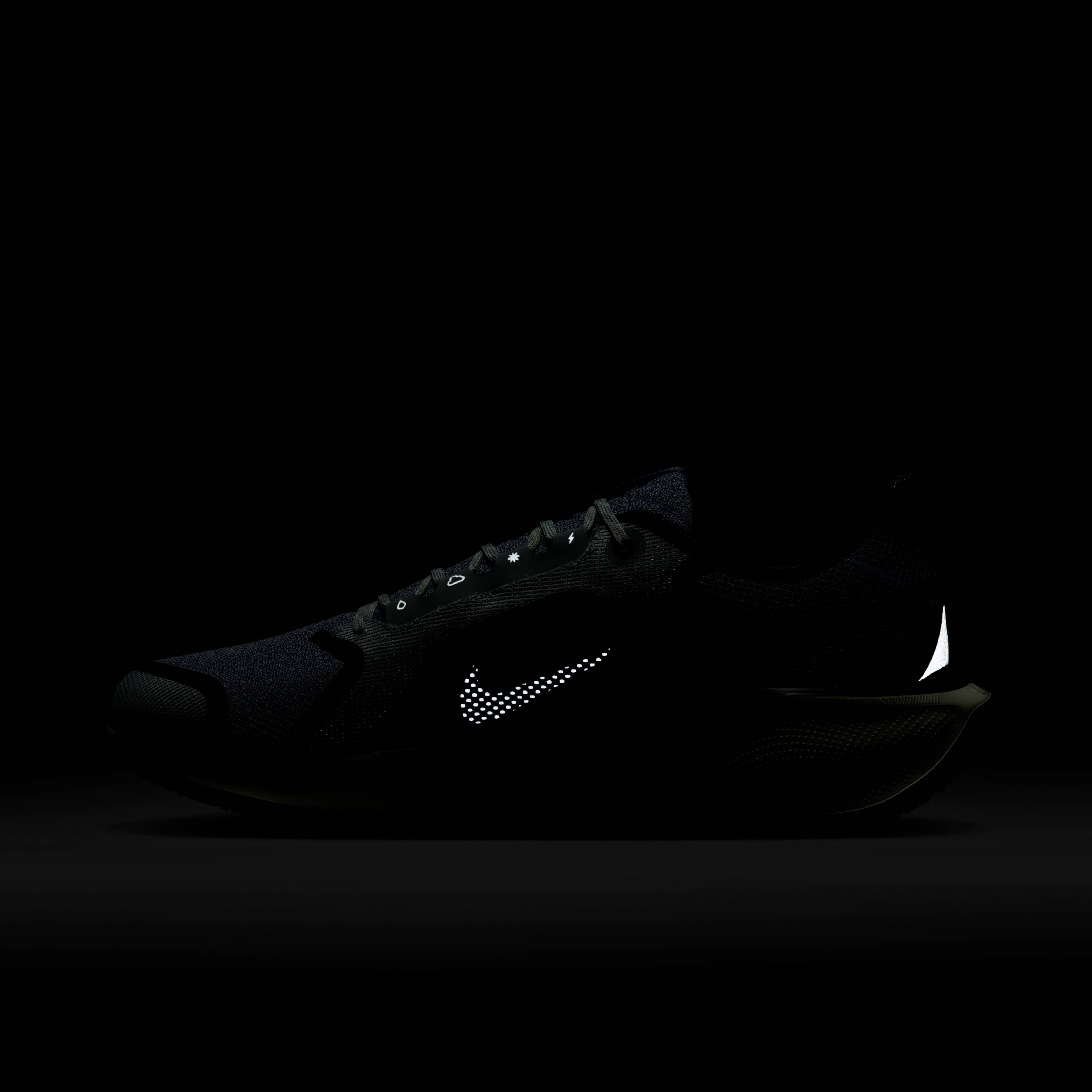 Nike Pegasus 41 GORE-TEX image number 11