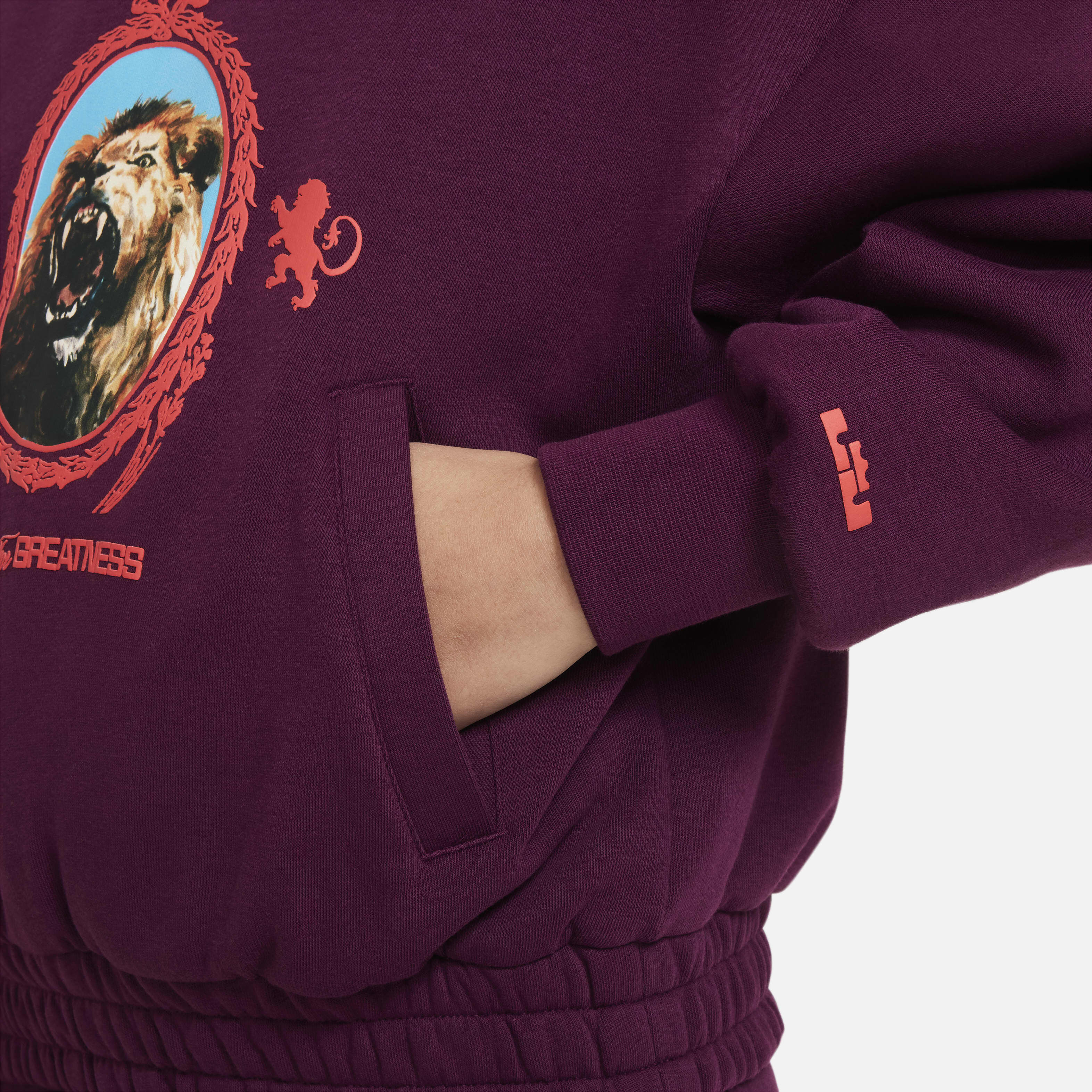 LeBron image number 3