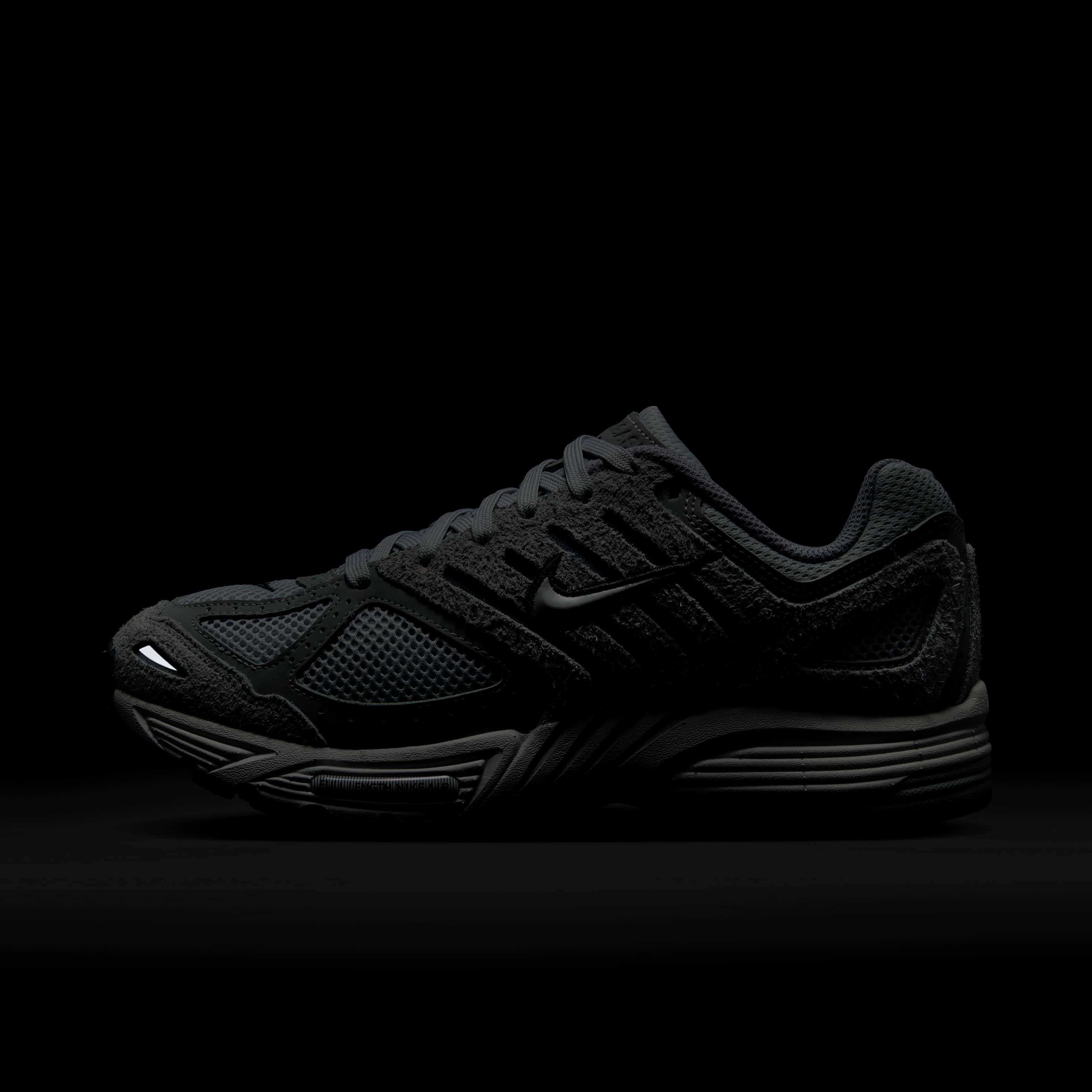 نايكي اير بيجاسوس 2005 image number 10