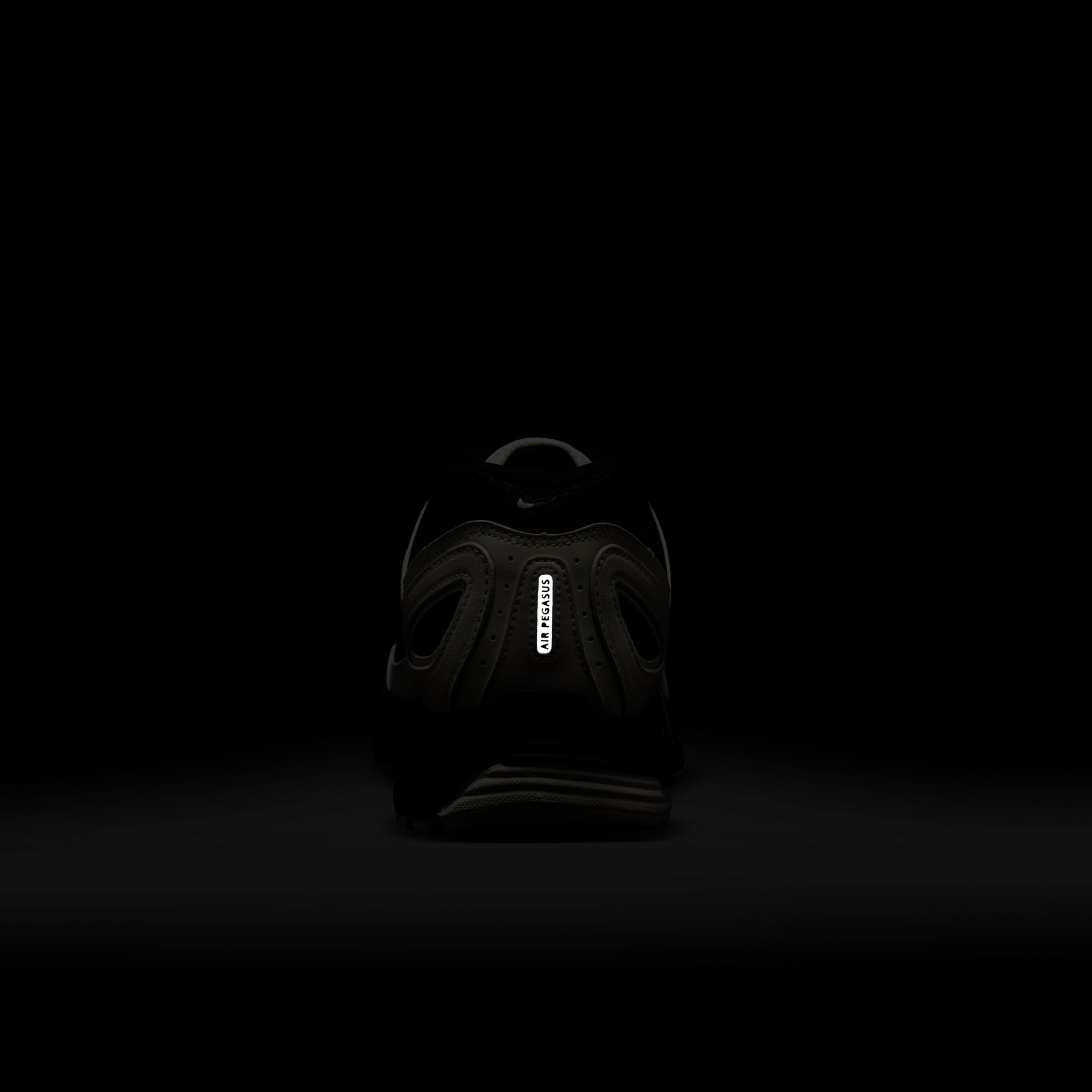 نايكي اير بيجاسوس 2005 image number 9