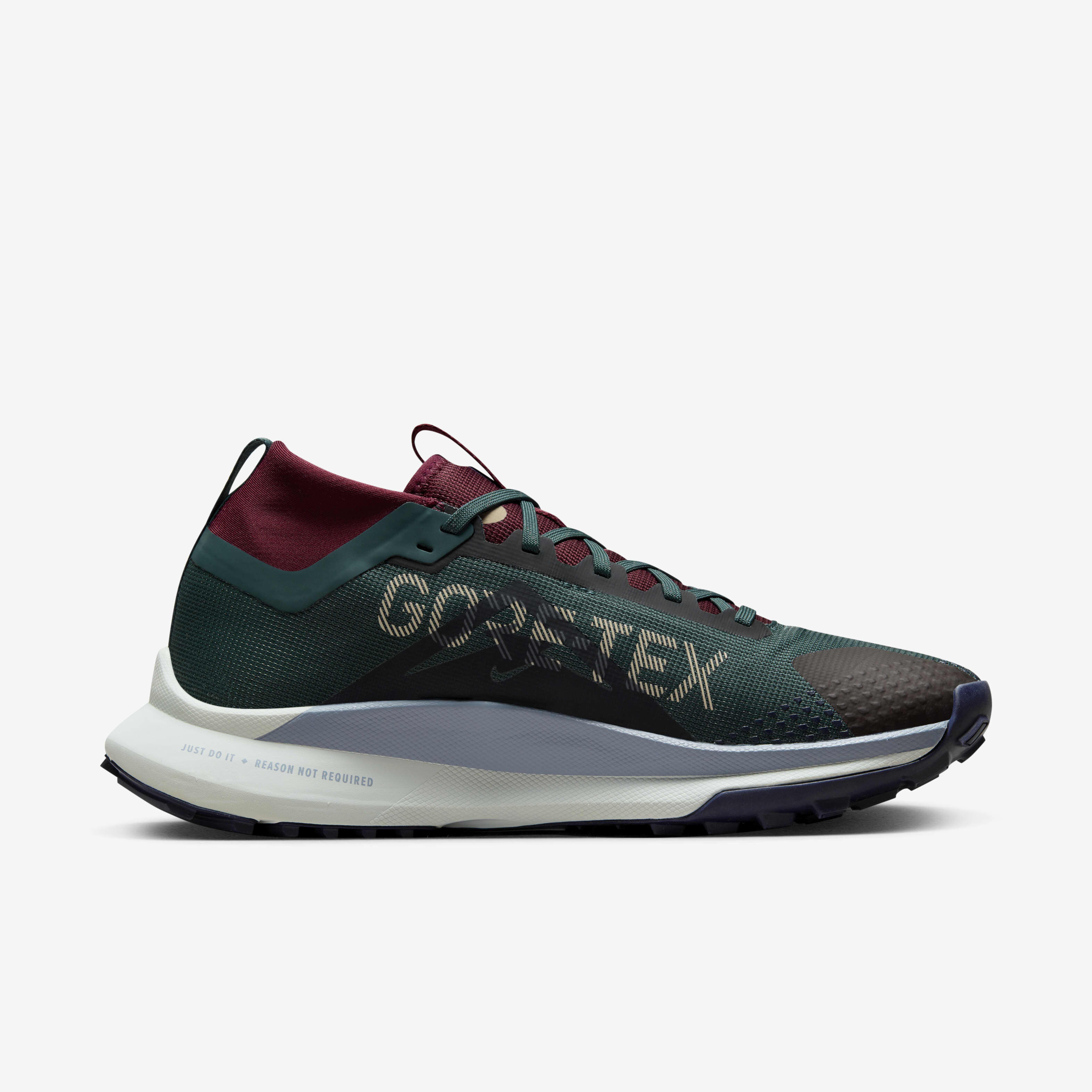 Nike Pegasus Trail 4 GORE-TEX image number 2