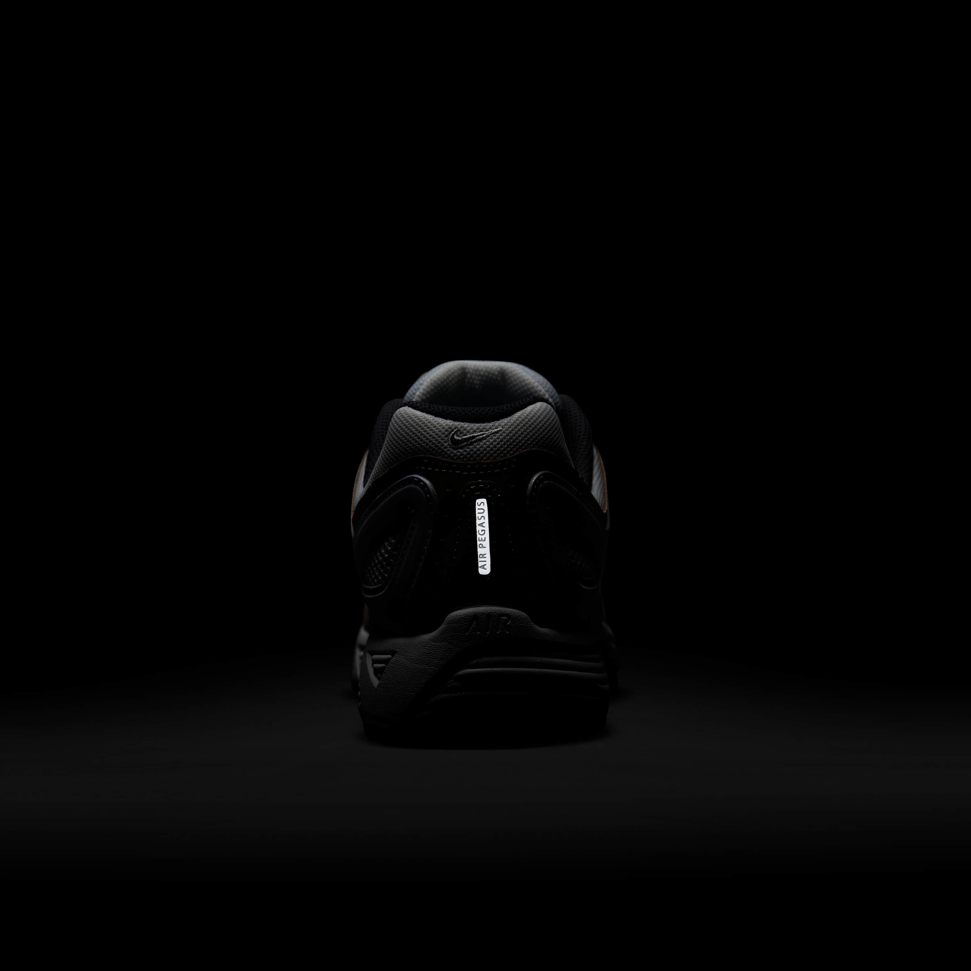 نايكي اير بيجاسوس 2005 image number 8