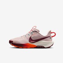 Nike Pegasus Trail 5