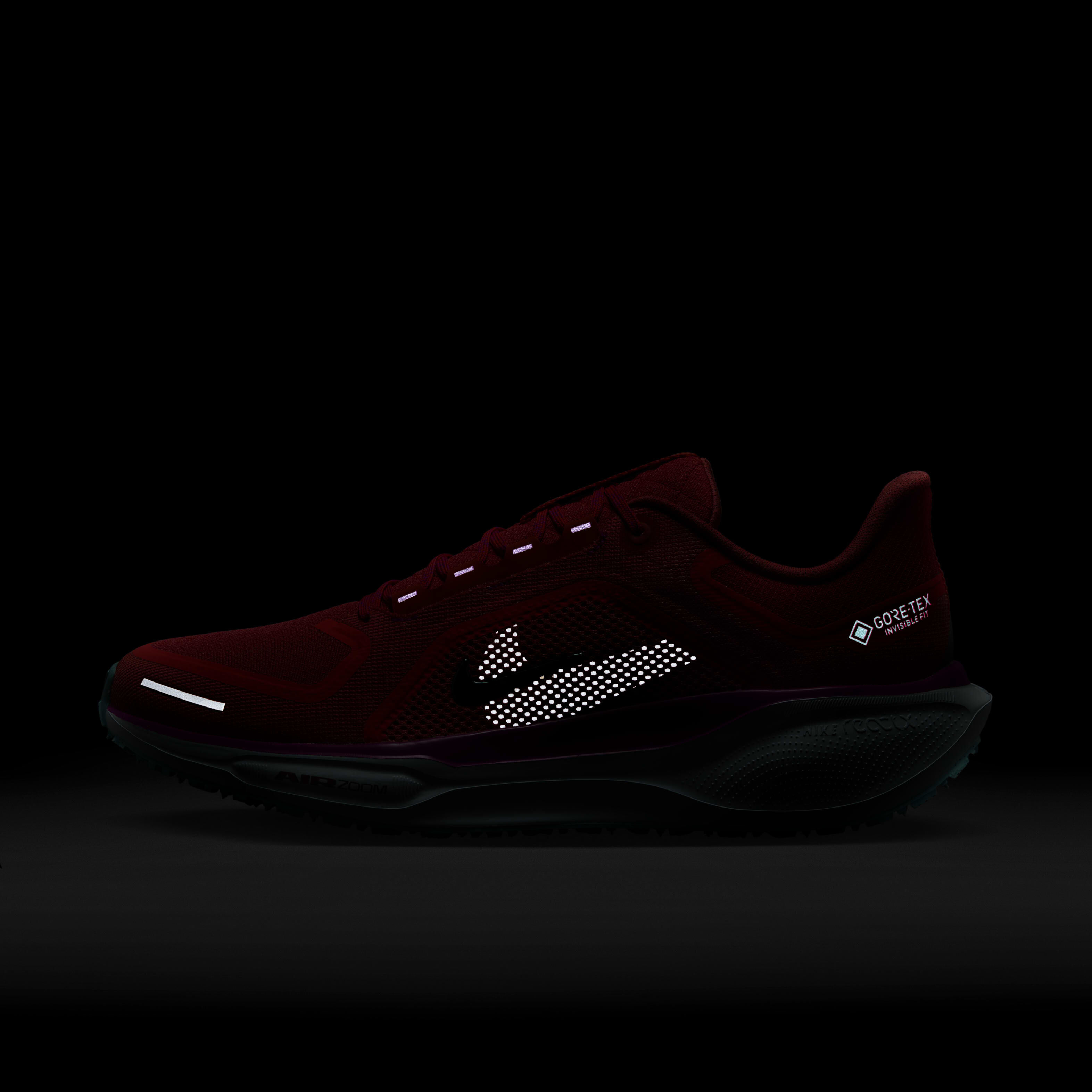 نايكي بيجاسوس 41 جور-تكس image number 10