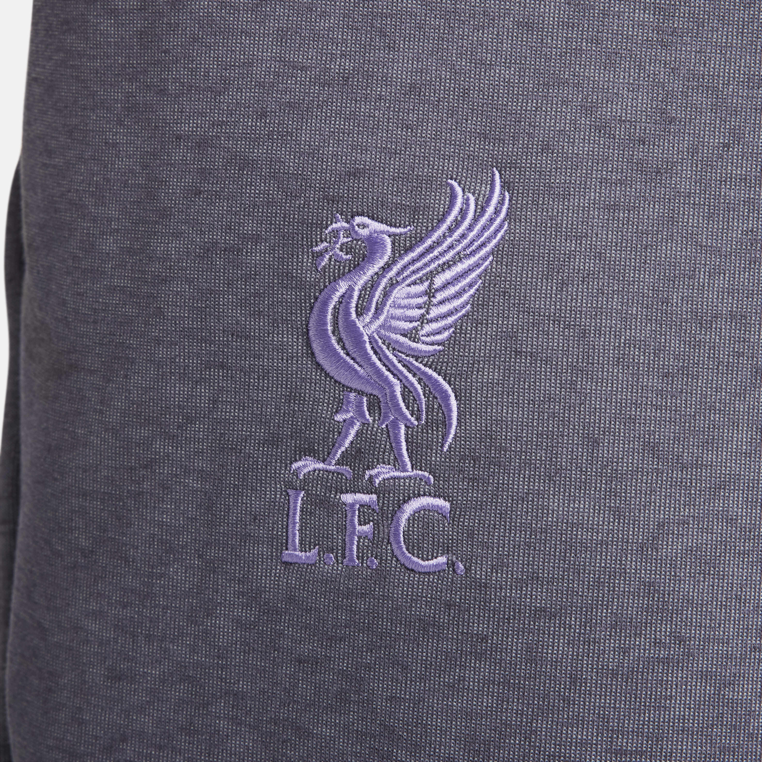 Liverpool F.C. Tech Fleece Third image number 3