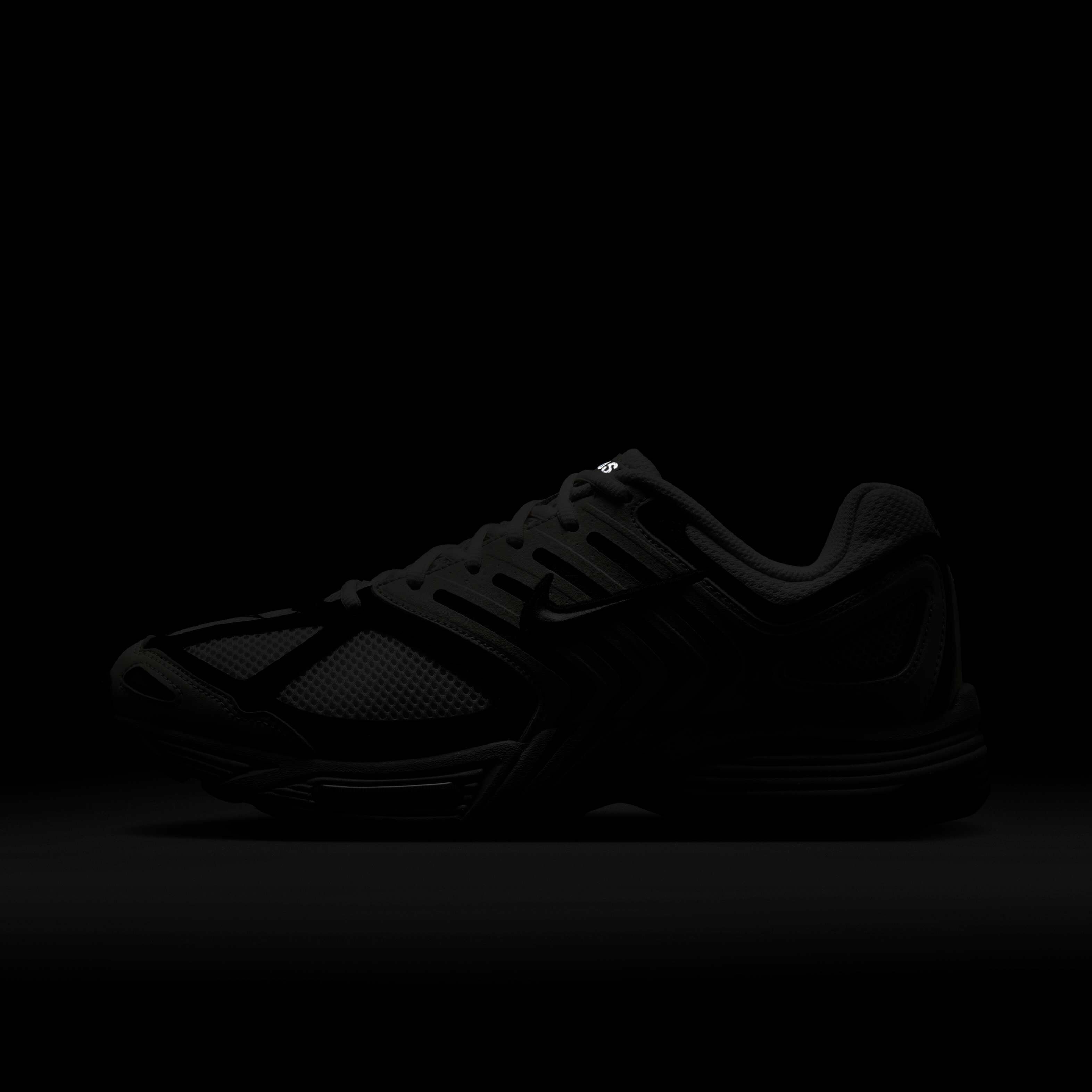 نايكي اير بيجاسوس 2005 image number 9