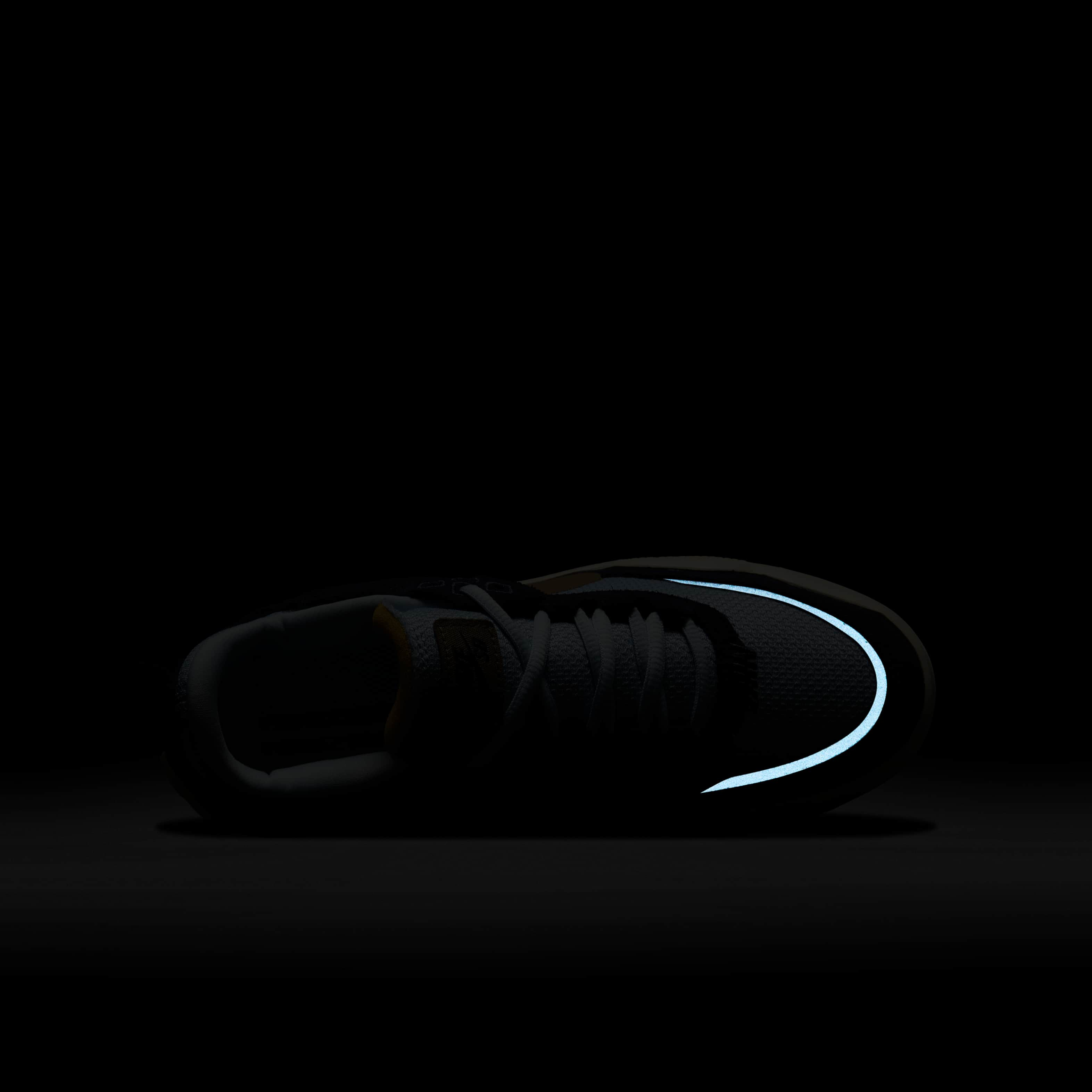 Nike SB Day One image number 8